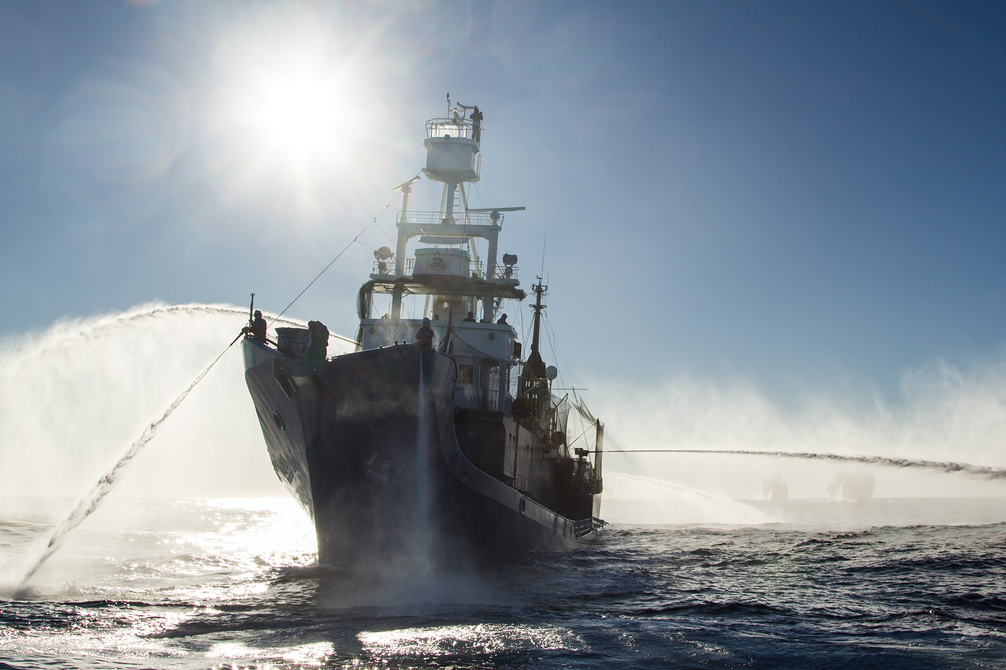 029_SeaShepherd_130225.jpg
