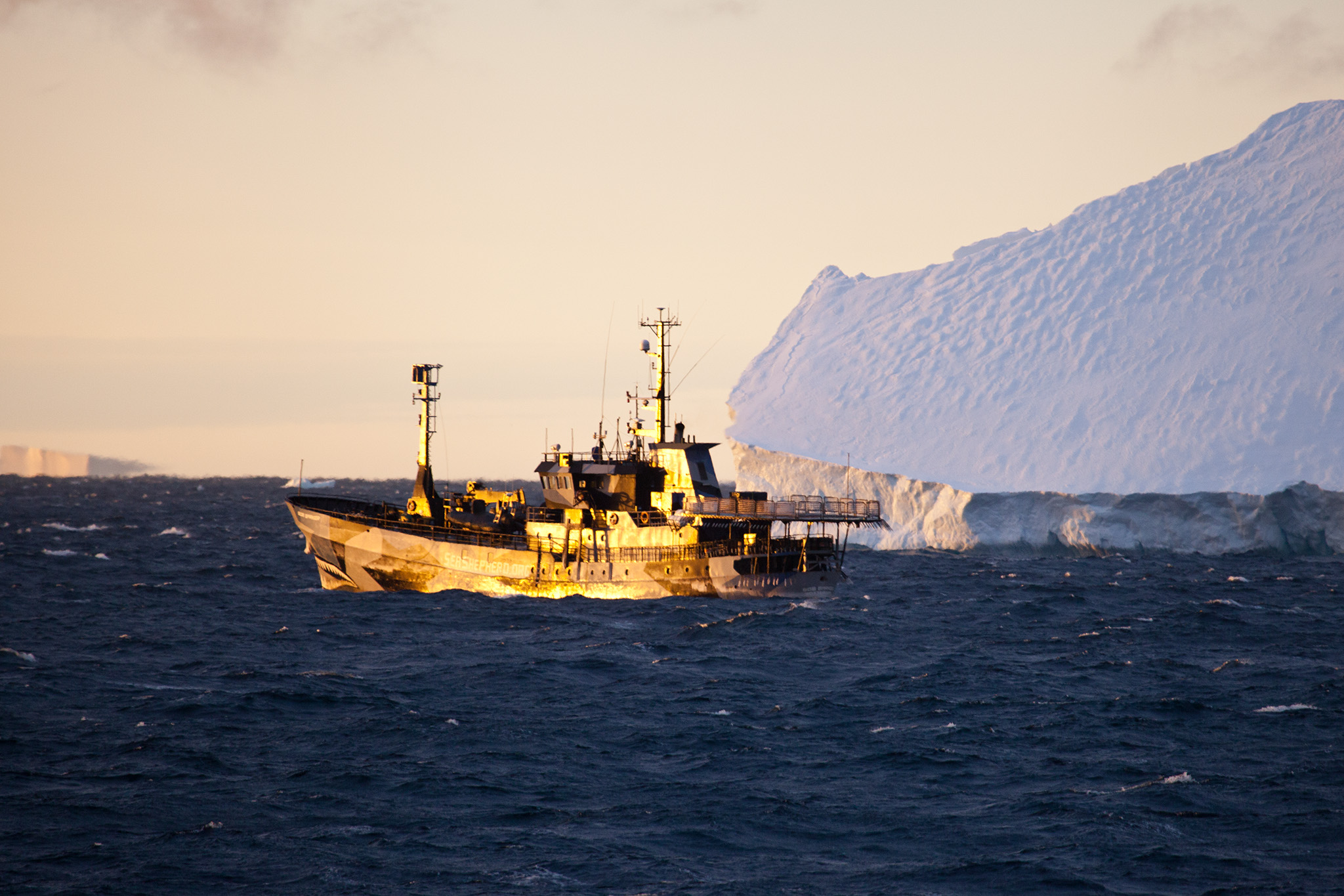 033_SeaShepherd_130216.jpg