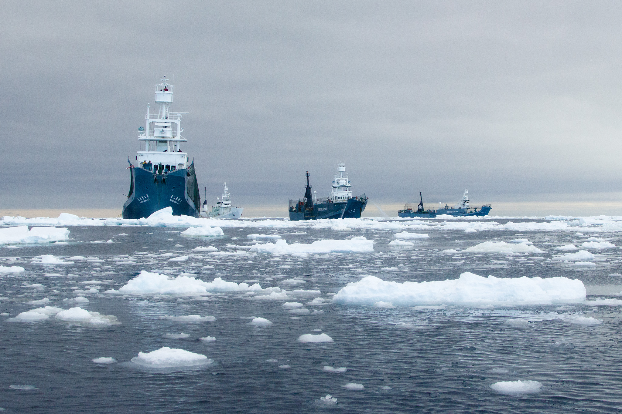 035_SeaShepherd_130220.jpg