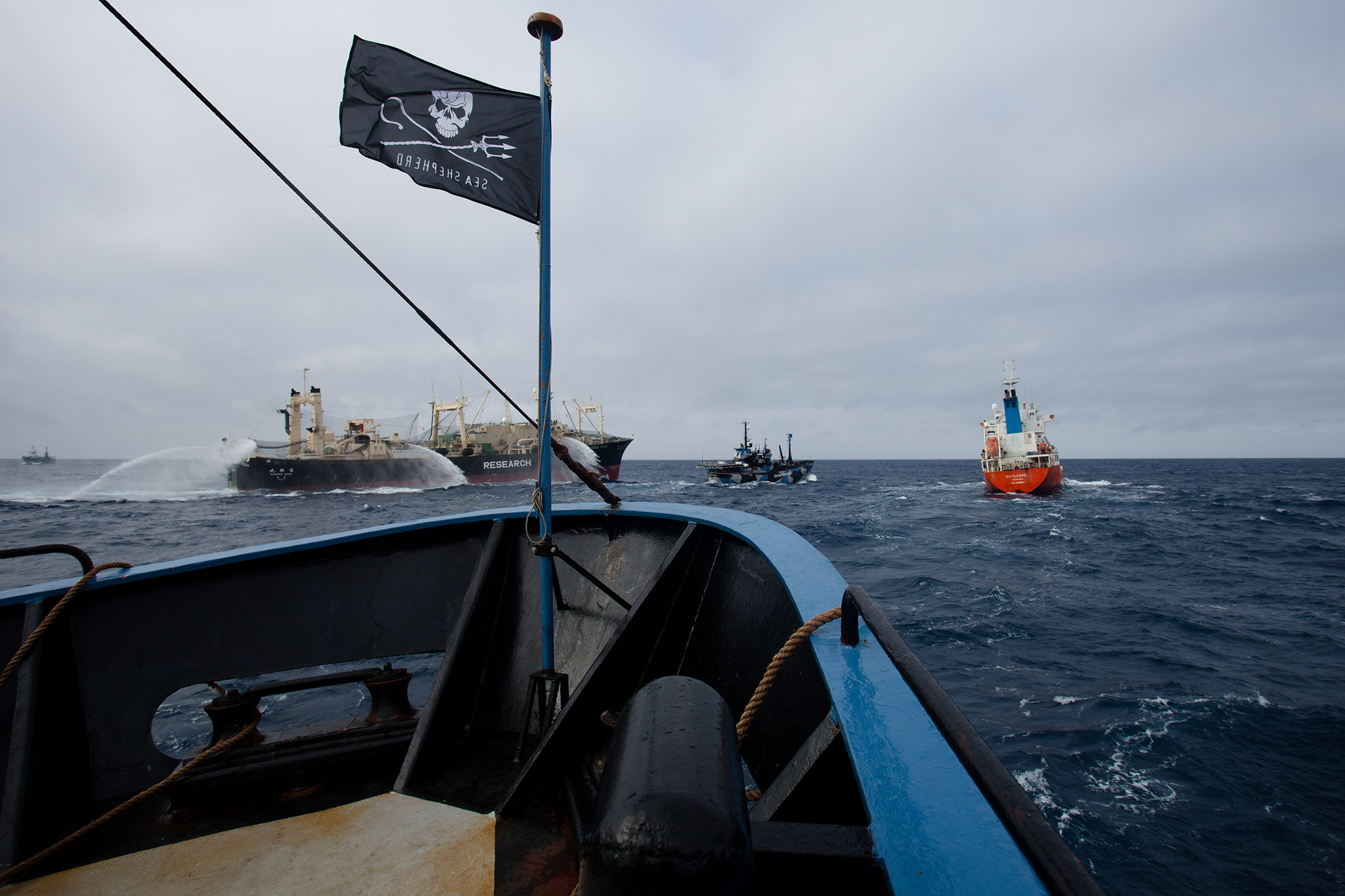 038_SeaShepherd_130219.jpg