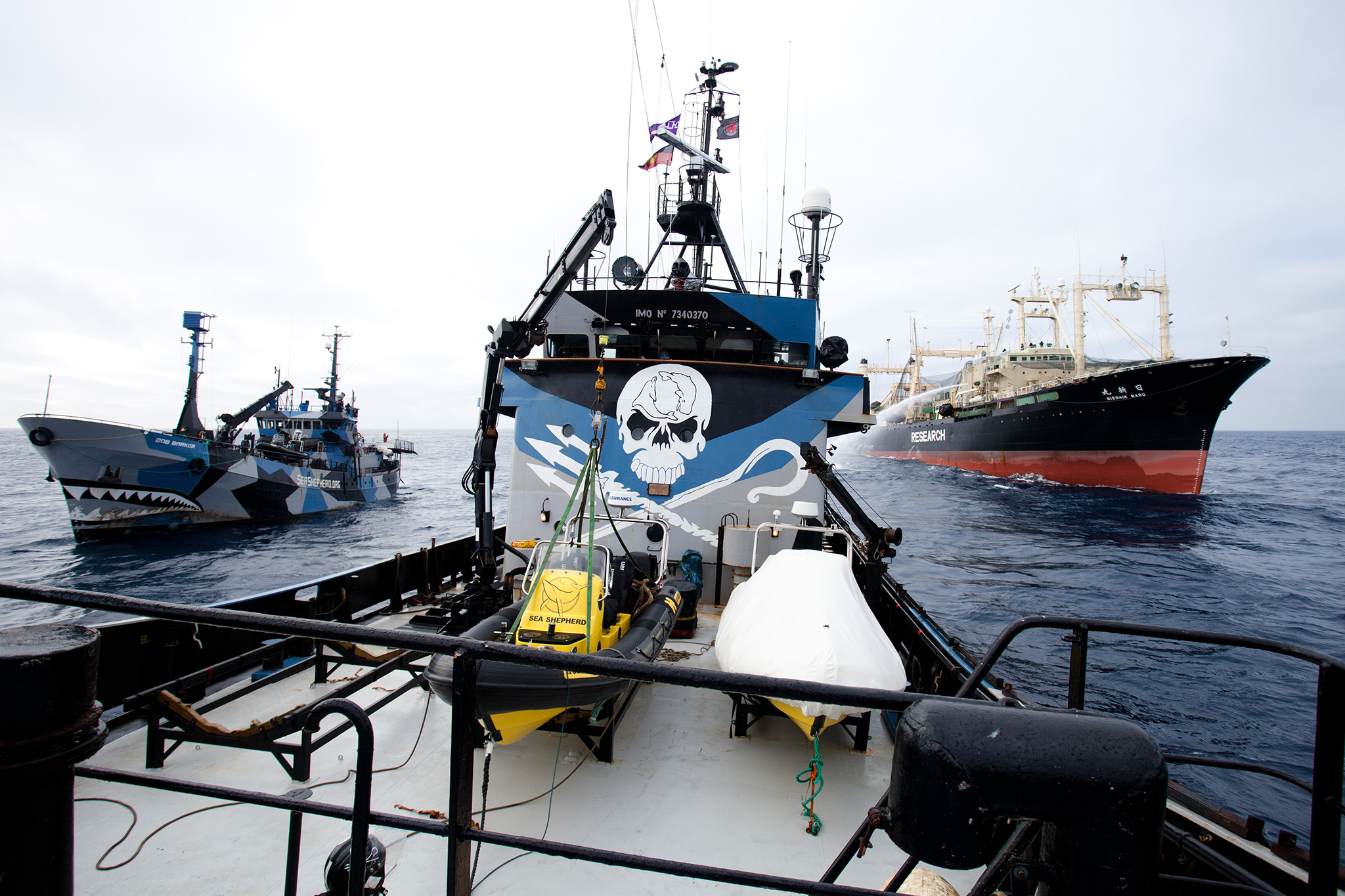 040_SeaShepherd_130219.jpg