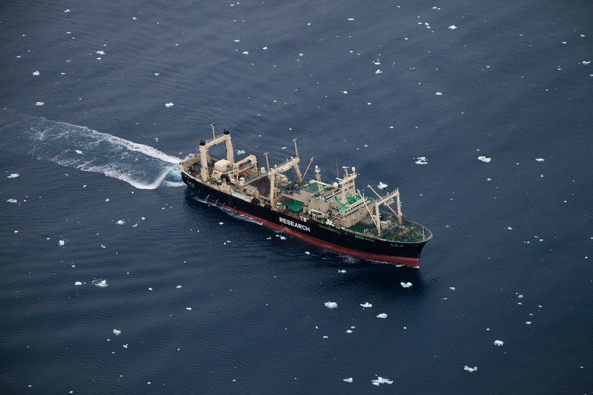 039_SeaShepherd_130220.jpg