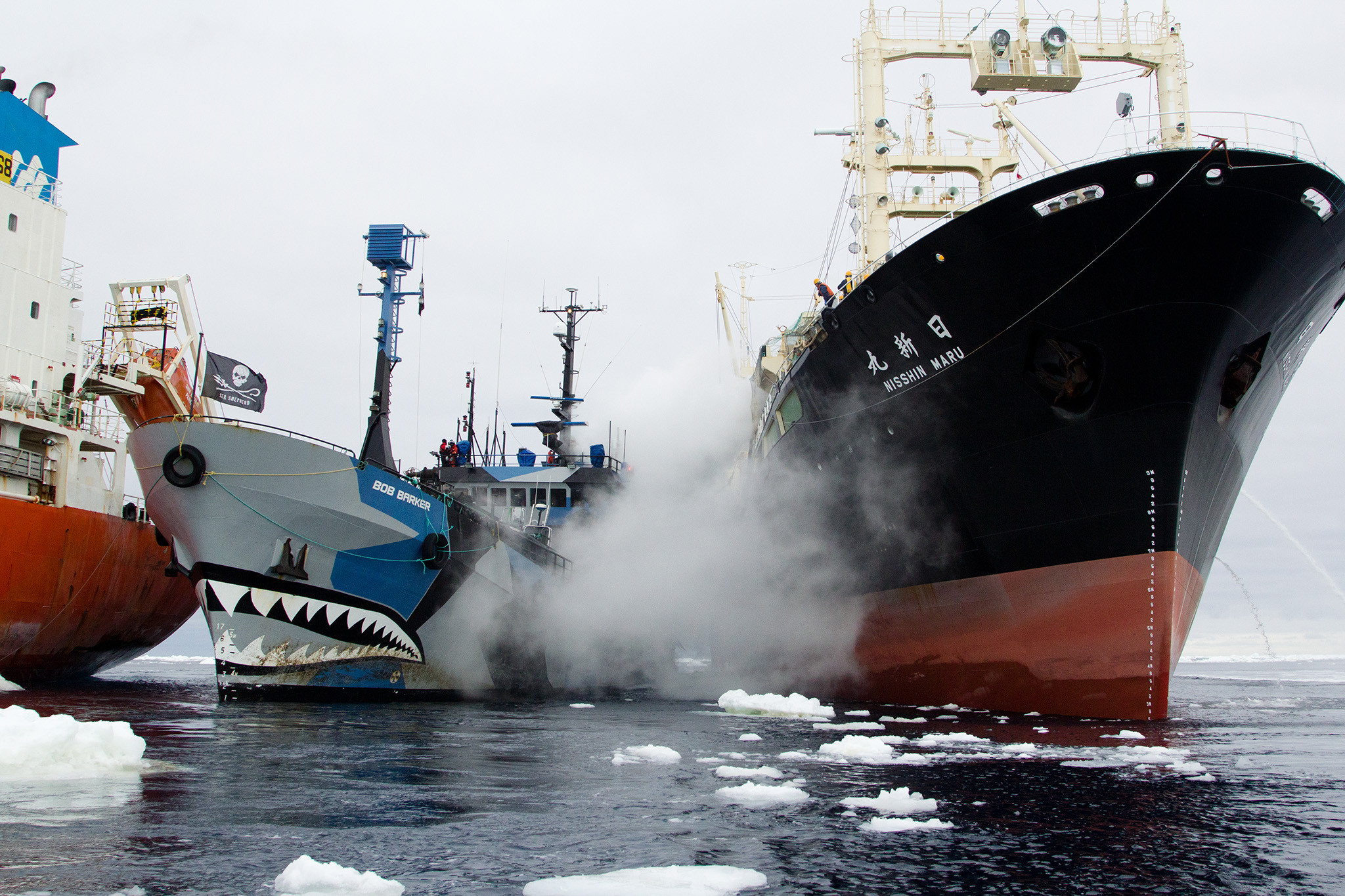 043_SeaShepherd_130220.jpg