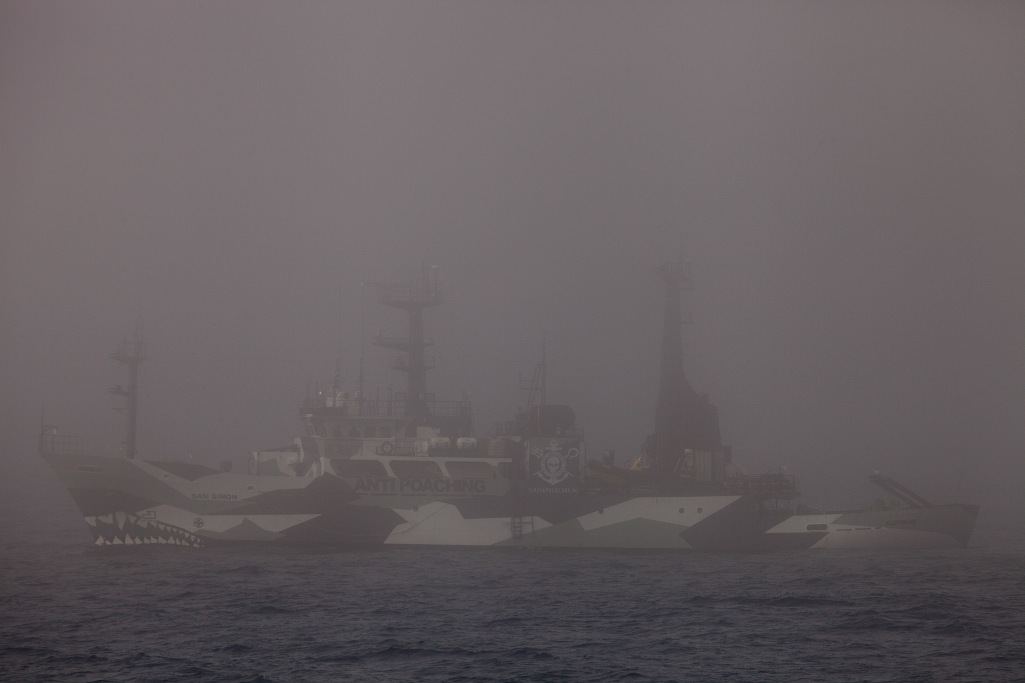 063_SeaShepherd_131229.jpg