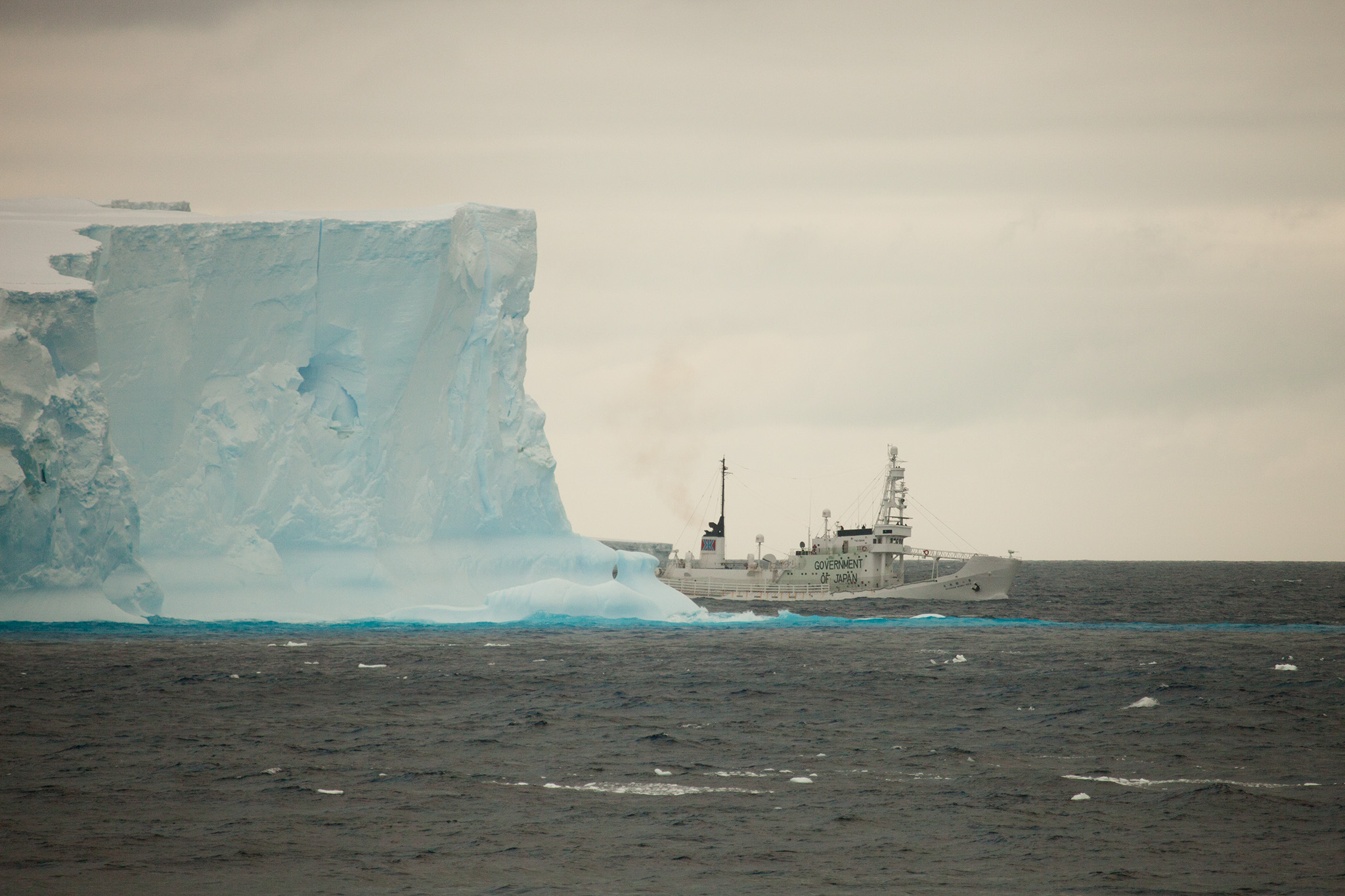 070_SeaShepherd_140109.jpg