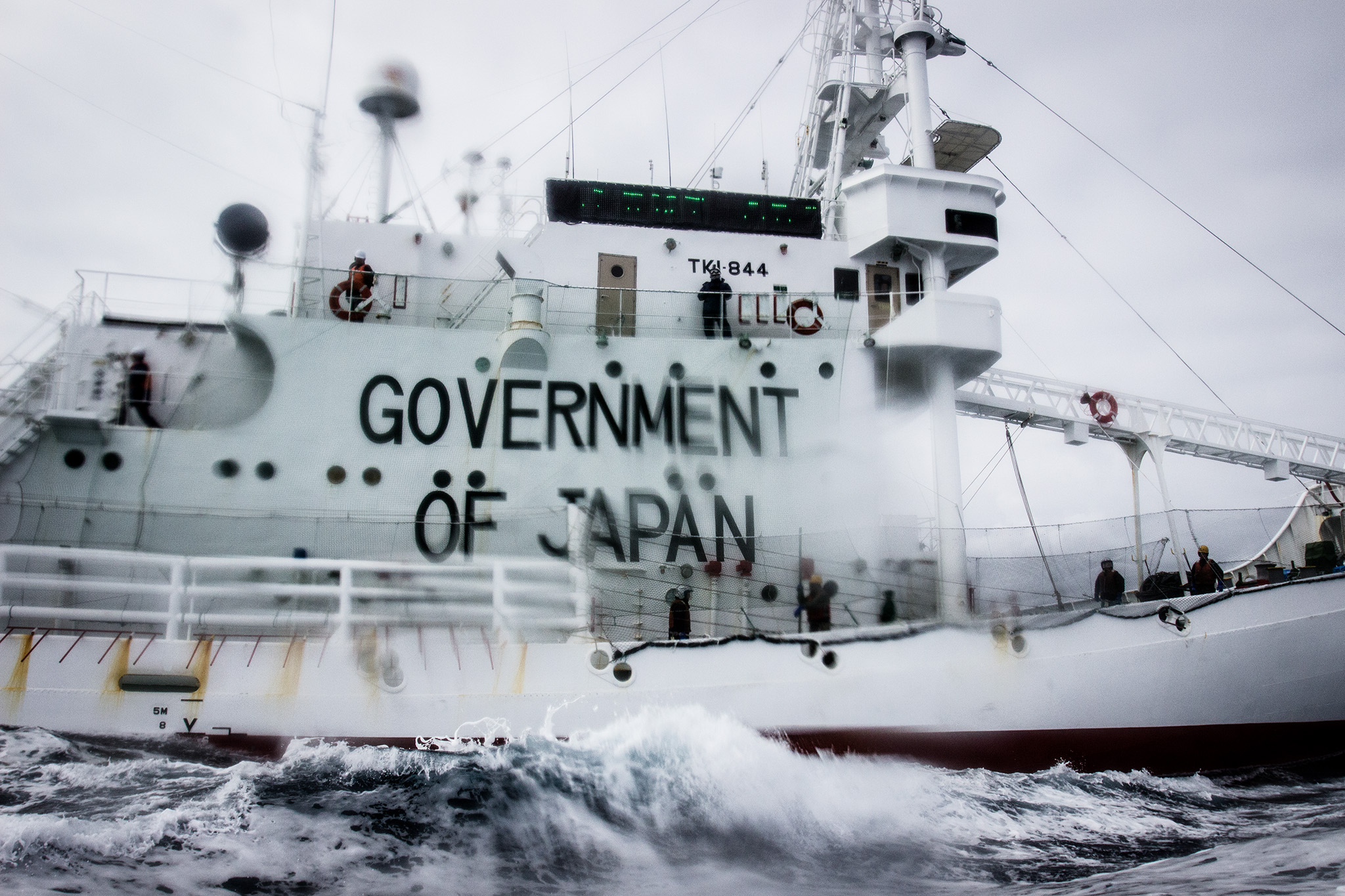 073_SeaShepherd_140110.jpg