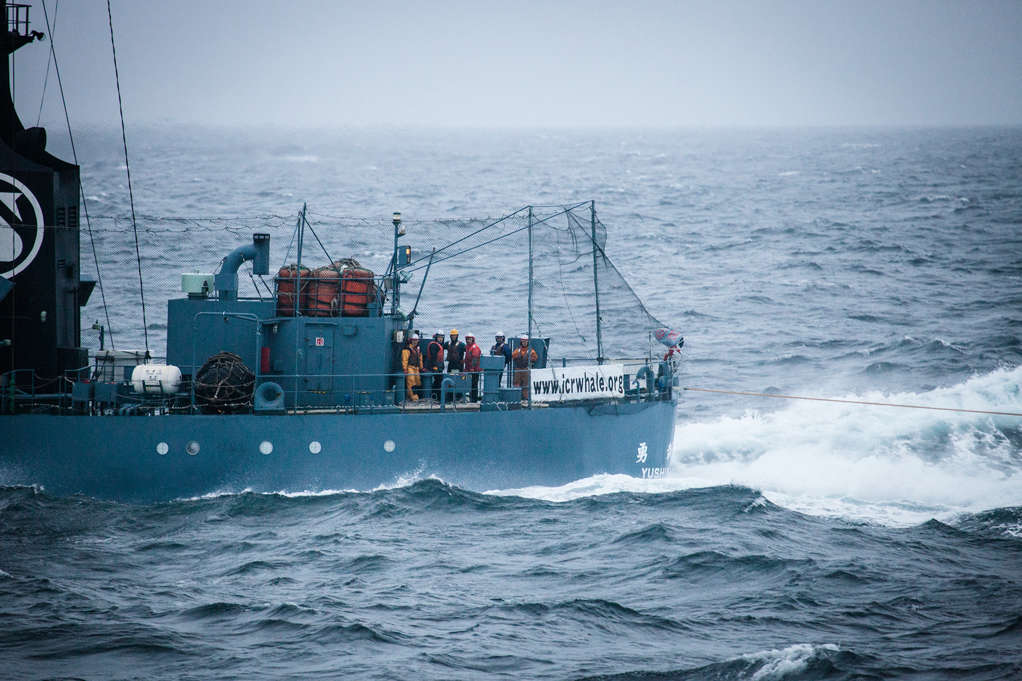 080_SeaShepherd_140202.jpg