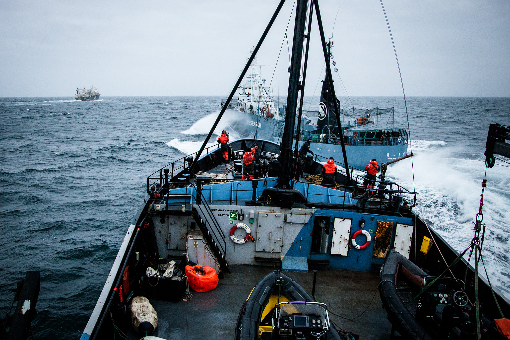 081_SeaShepherd_140202.jpg