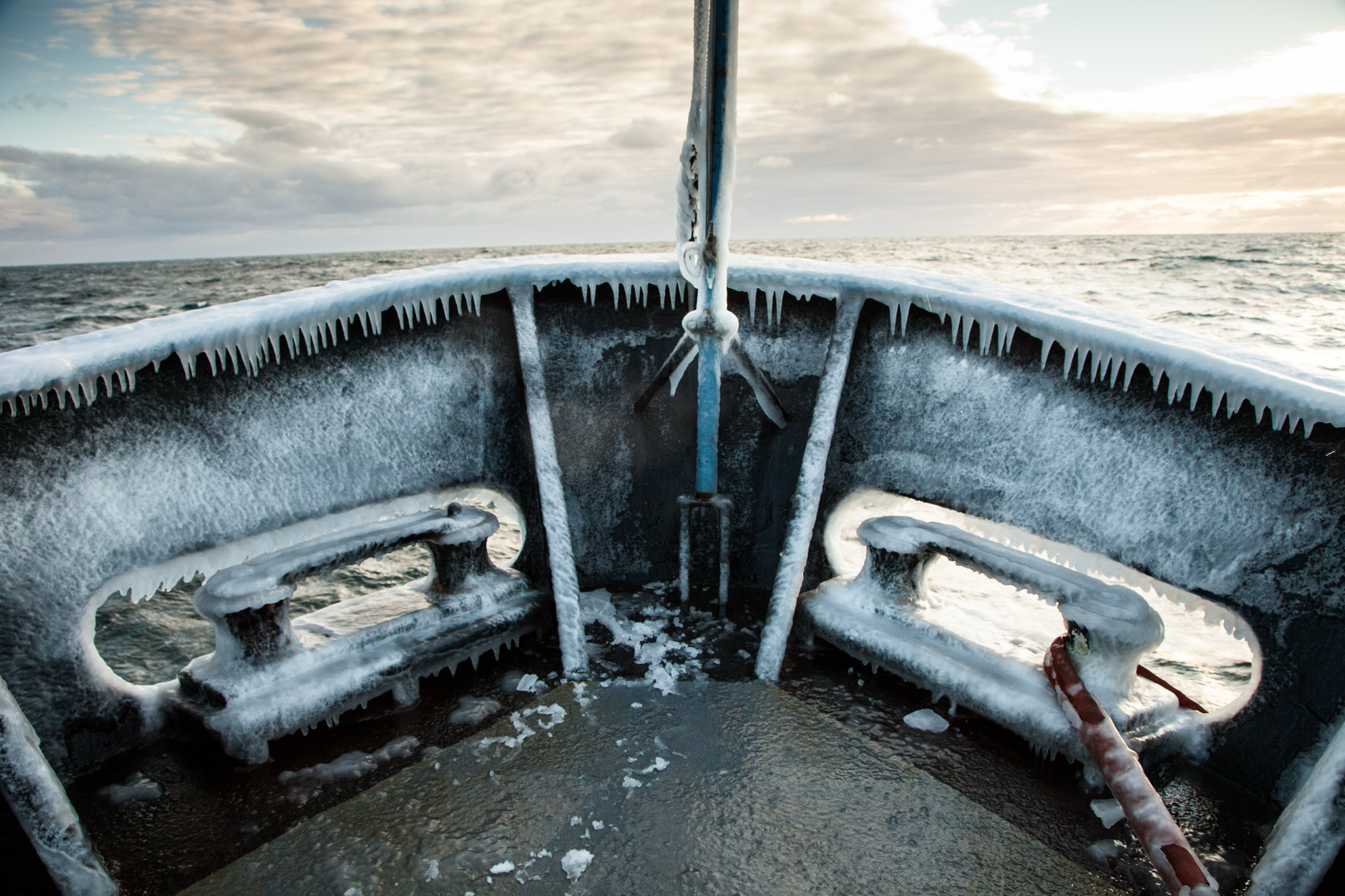 085_SeaShepherd_140221.jpg
