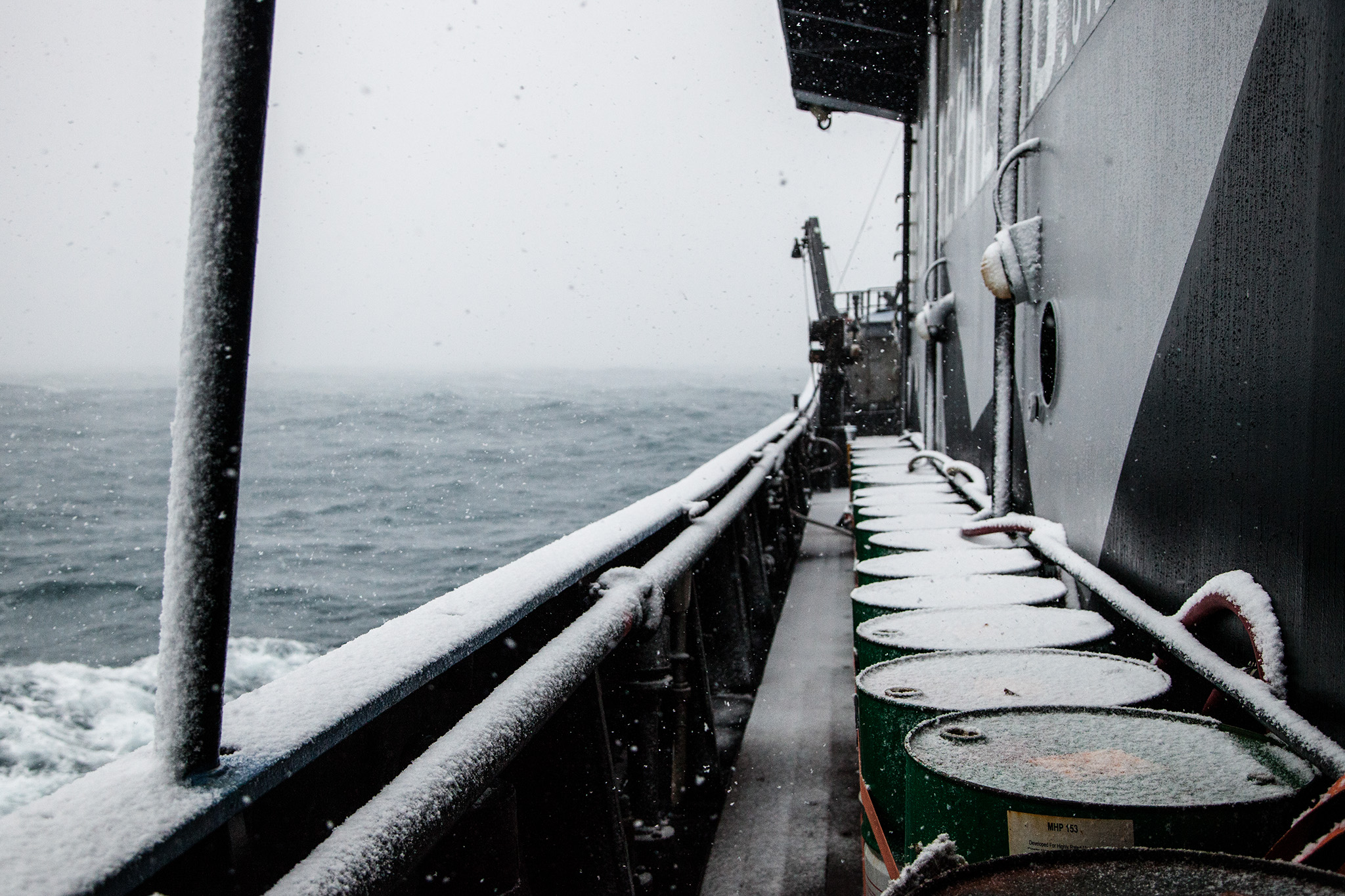086_SeaShepherd_140204.jpg
