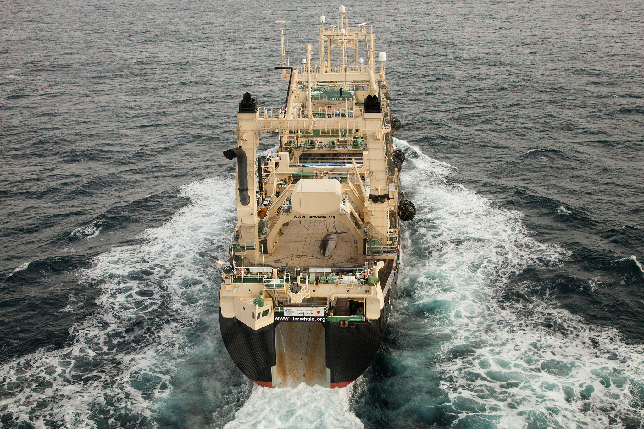089_SeaShepherd_140302.jpg