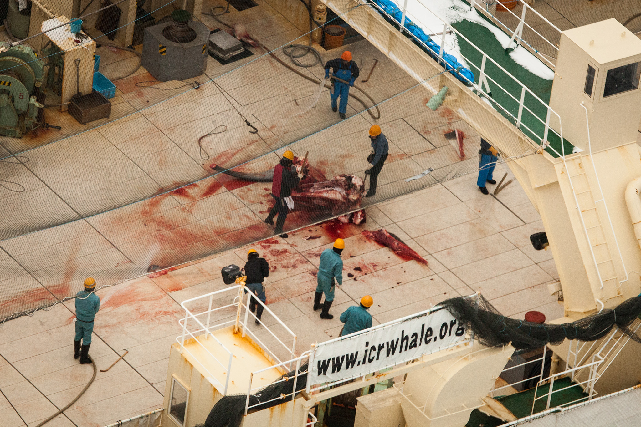 092_SeaShepherd_140302.jpg