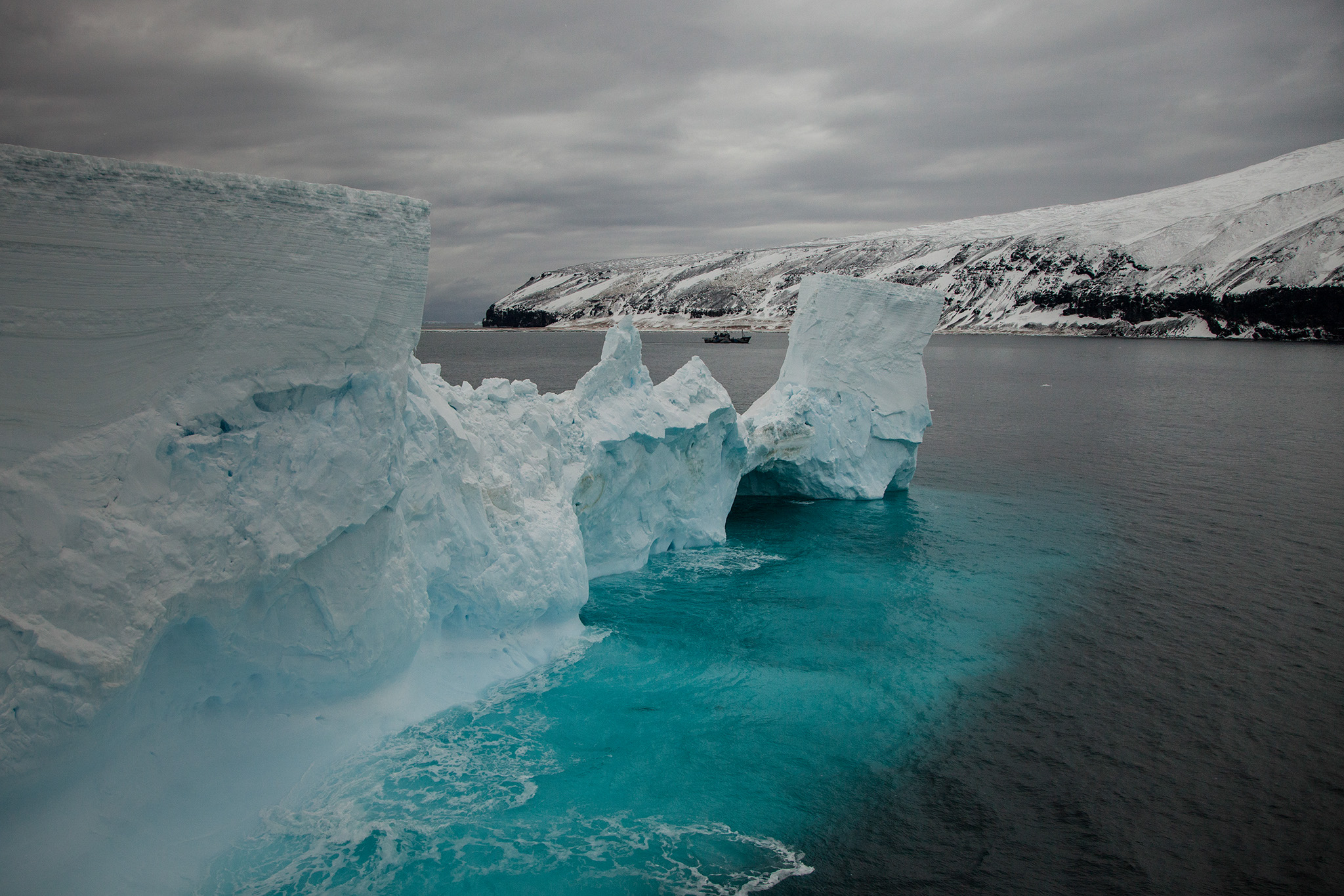 098_SeaShepherd_140305.jpg