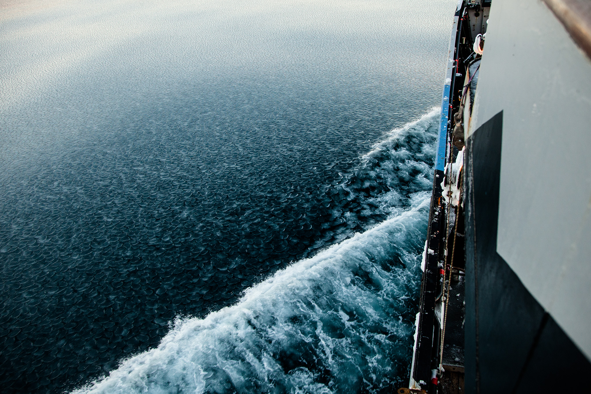 107_SeaShepherd_140309.jpg