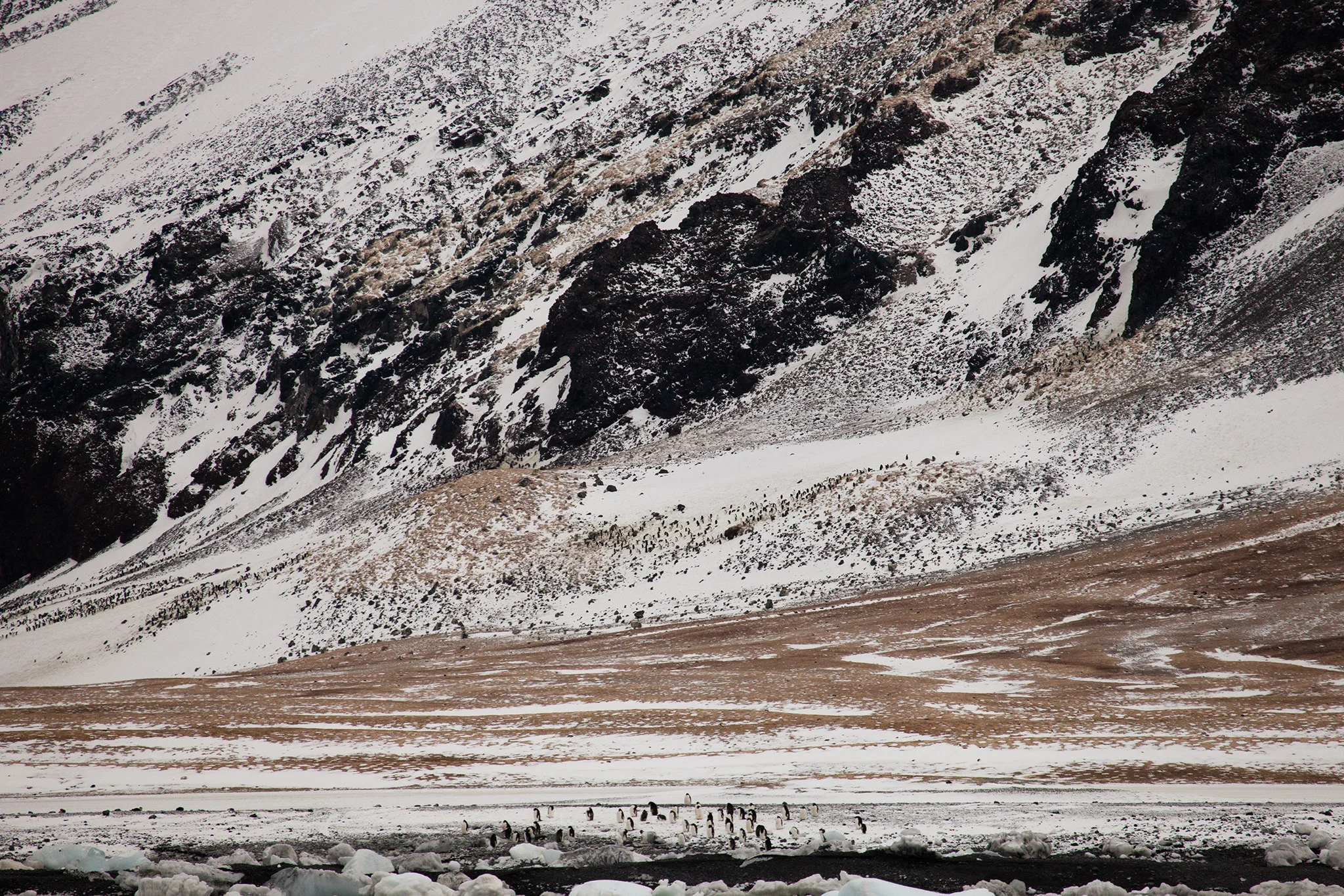 23_Antarctica_140305.jpg