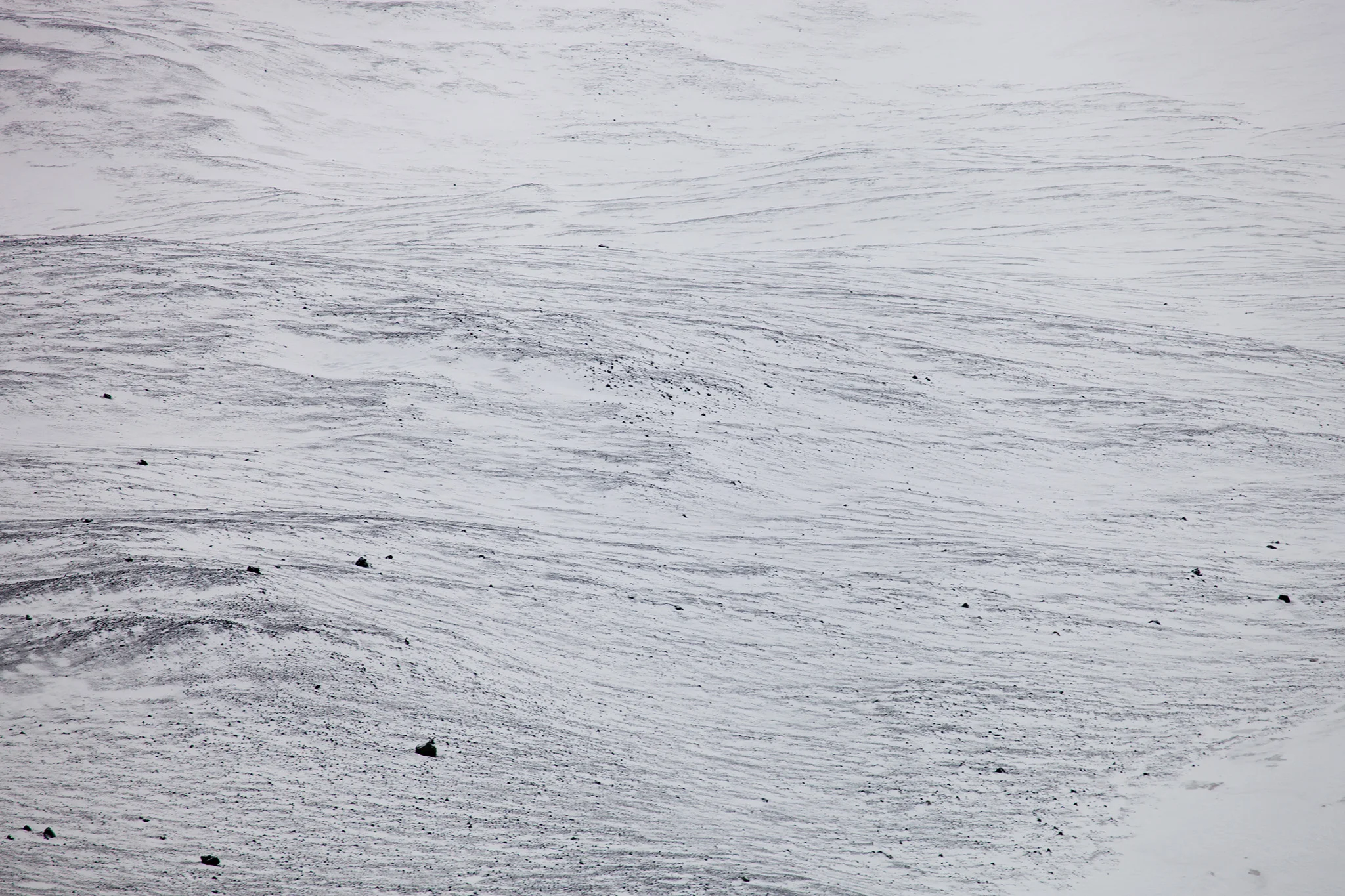 29_Antarctica_140305.jpg