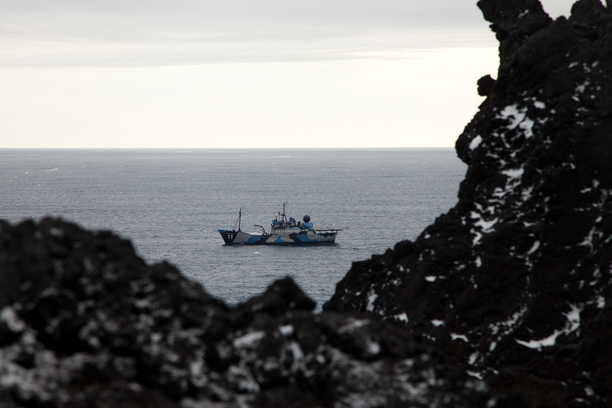 130124_OZT_ScottIsland_046.jpg