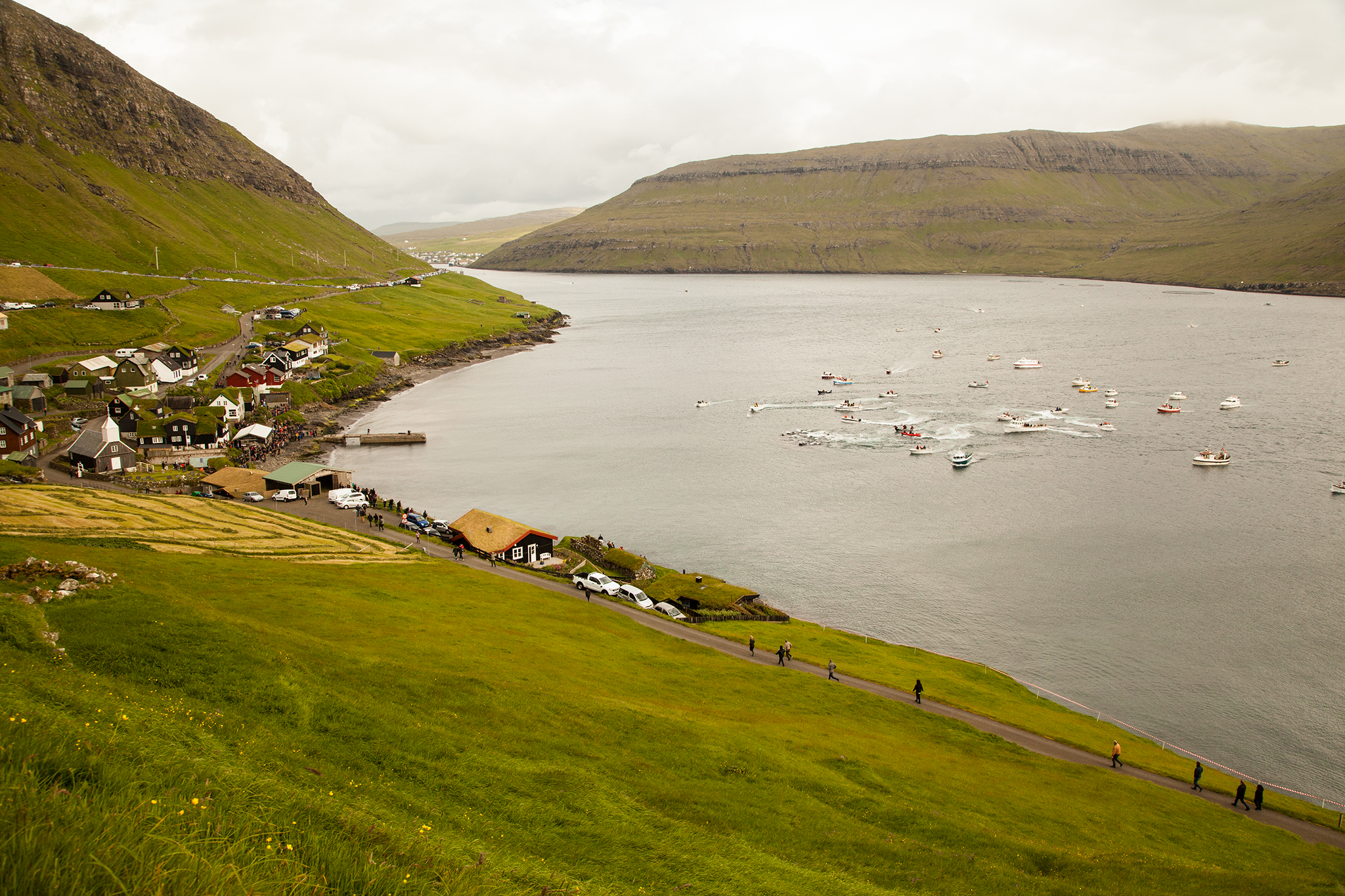 002_SeaShepherd_150723.jpg