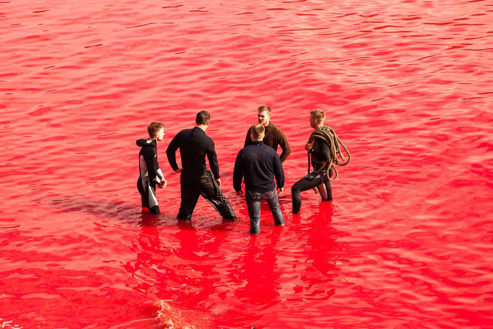006_SeaShepherd_150723.jpg