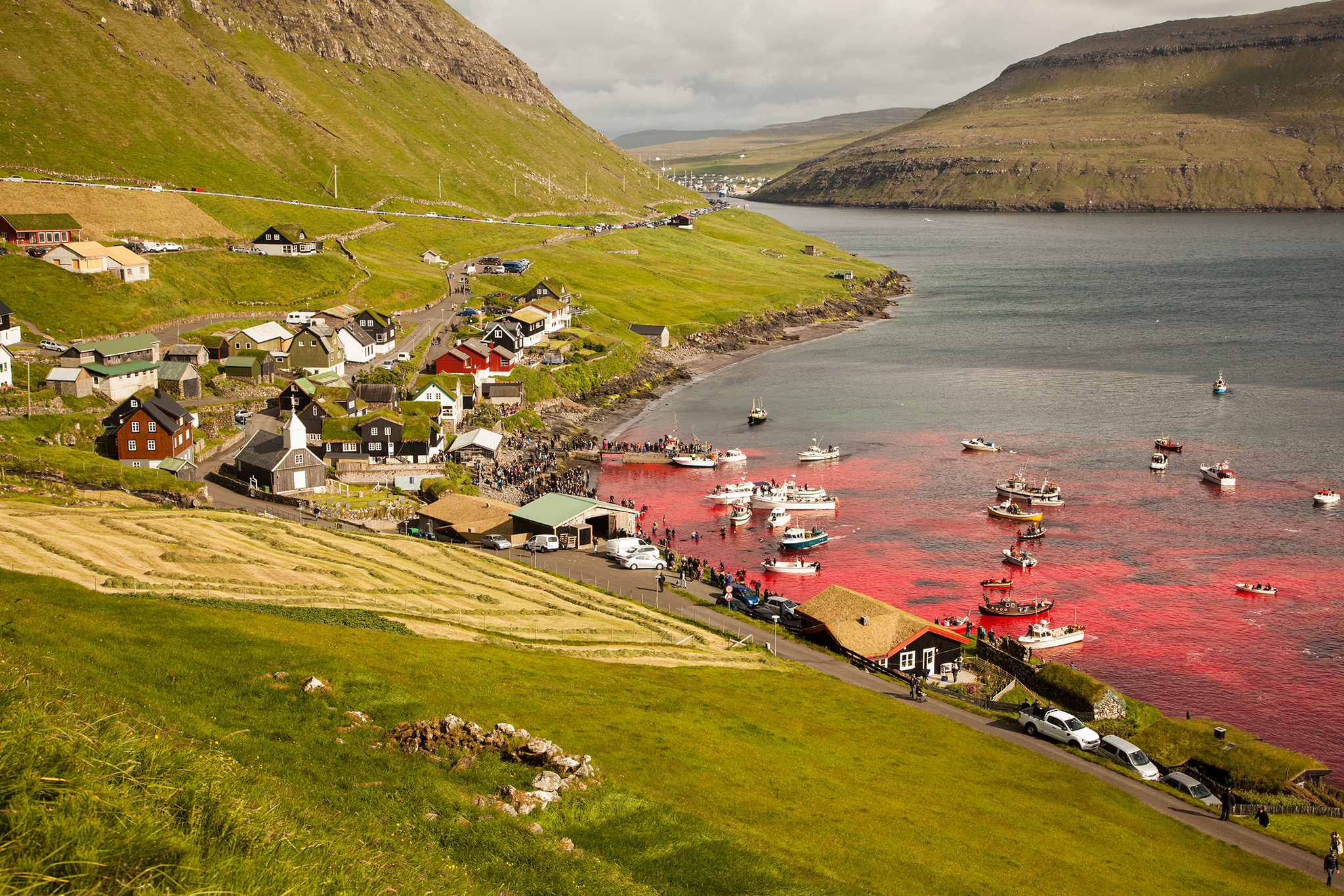 008_SeaShepherd_150723.jpg