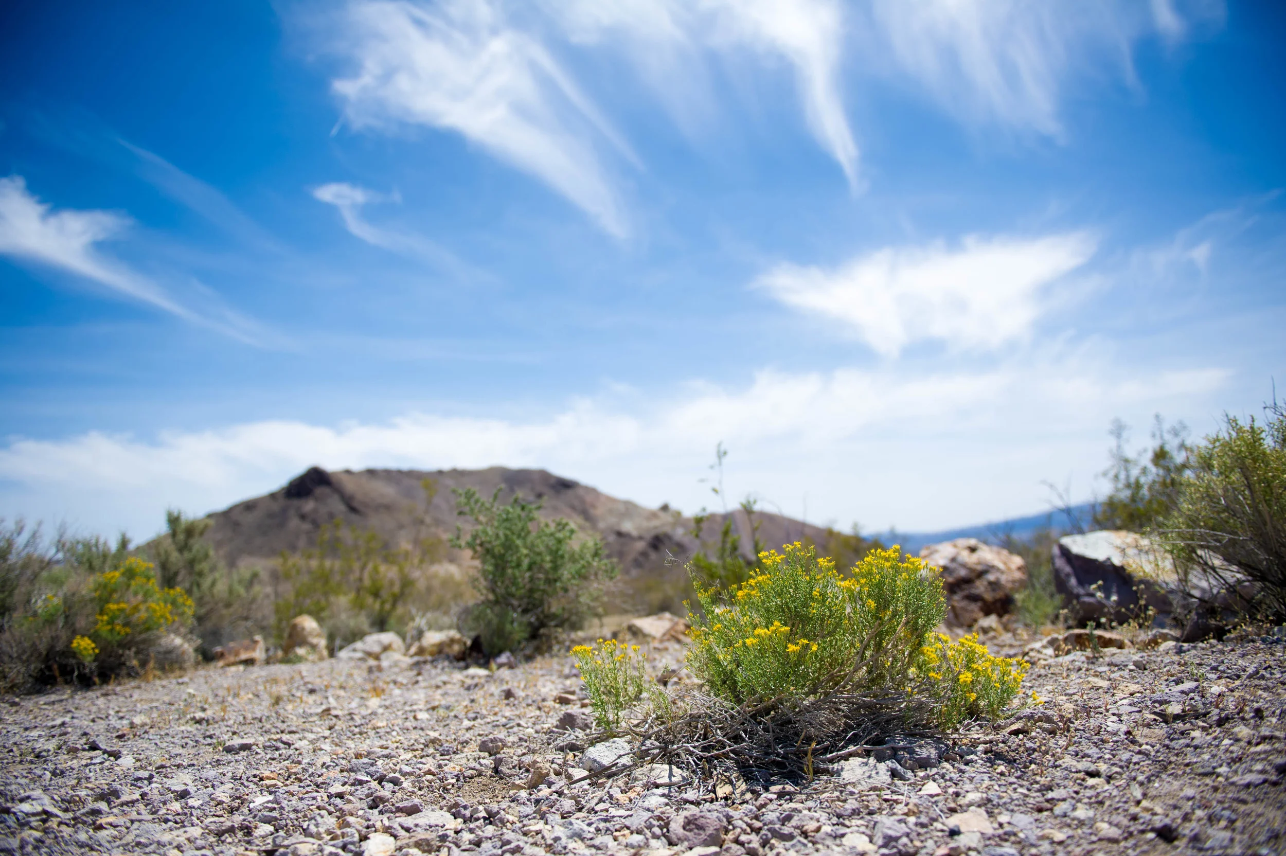 Death Valley-7.jpg