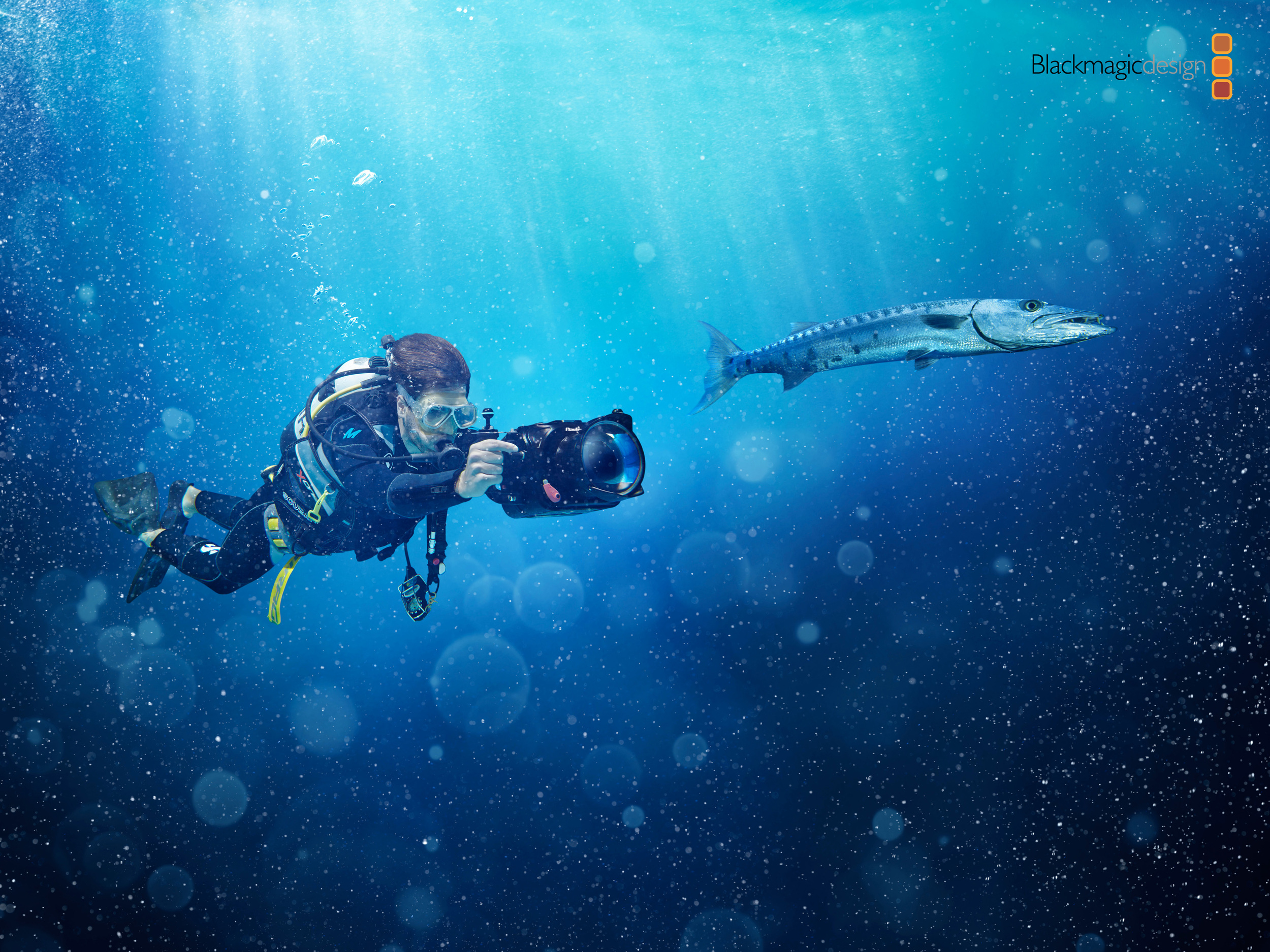 BMD UNDERWATER .jpg