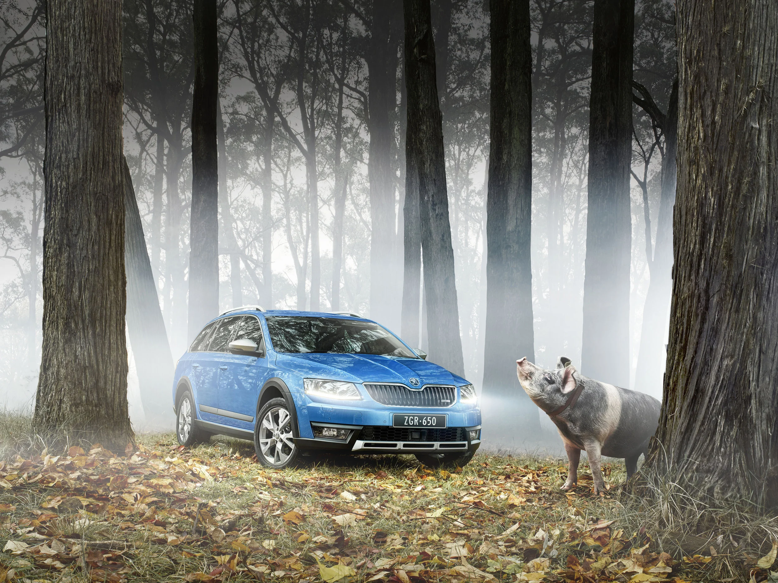SKODA SCOUT.jpg
