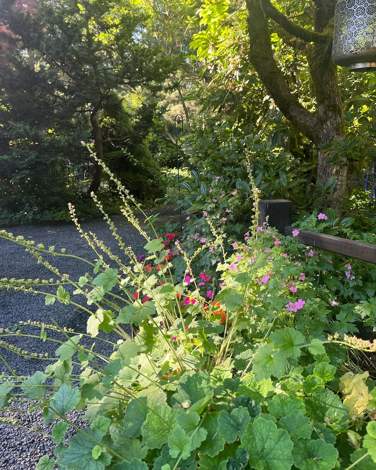 Maria&rsquo;s garden, Portland, Oregon