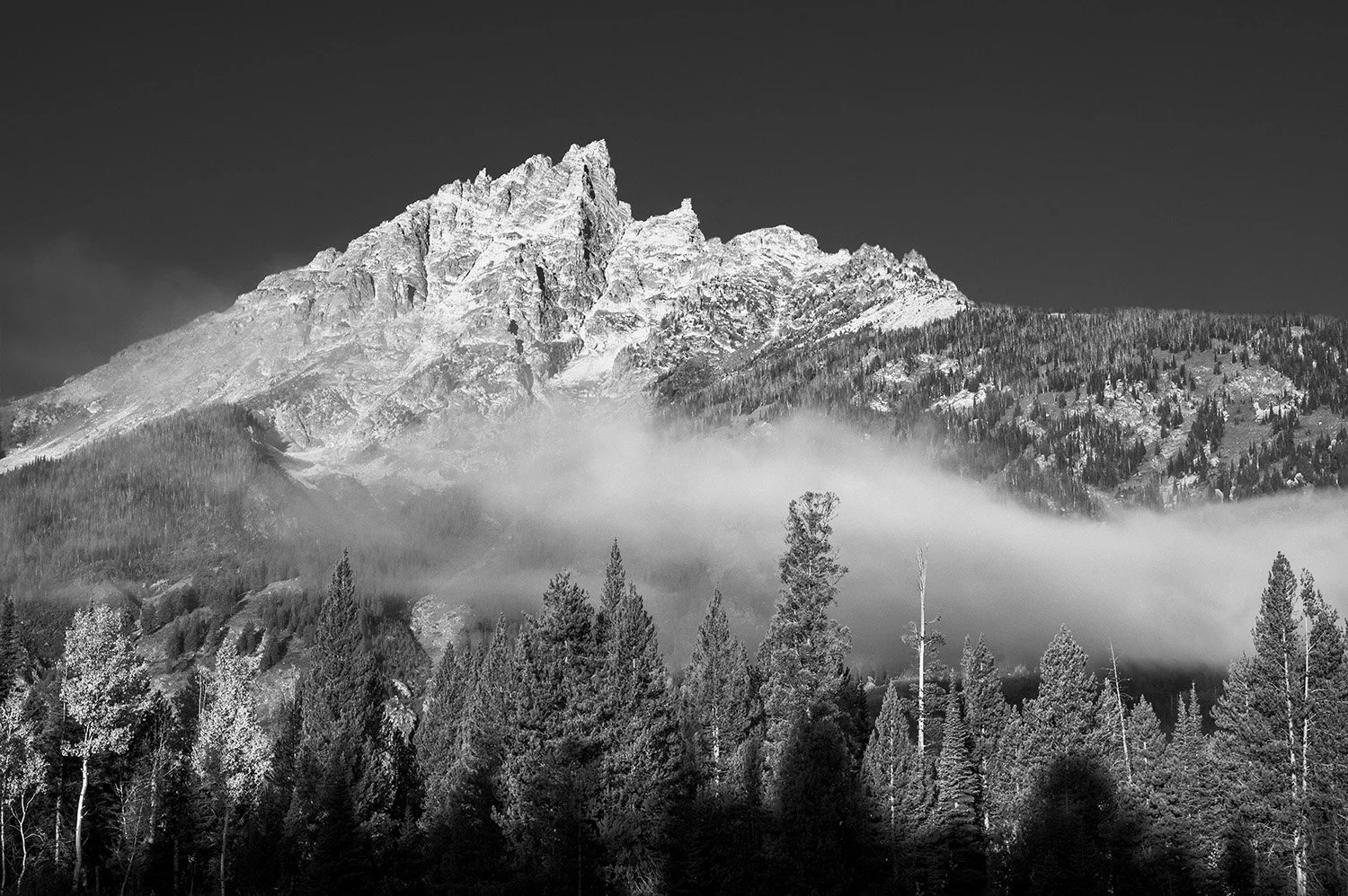Fog Layer copy.jpg