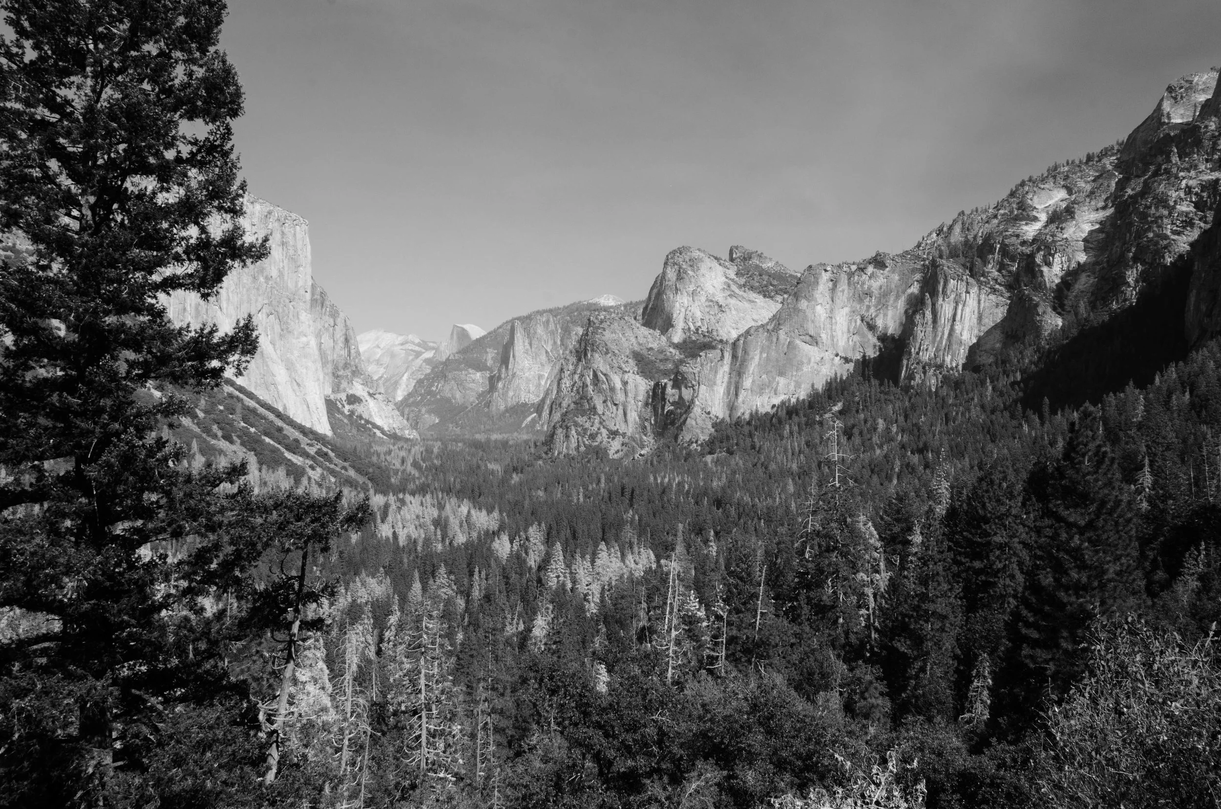 Yosemite-8.jpg