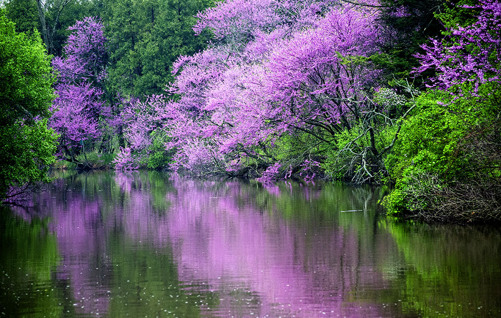 Reflections.jpg
