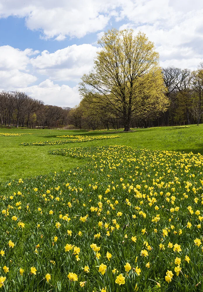 Spring Colors.jpg