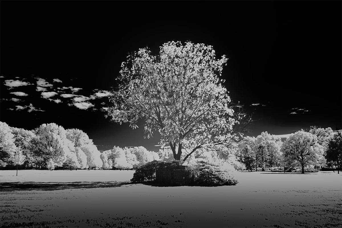 ST Mary Park IR copy.jpg