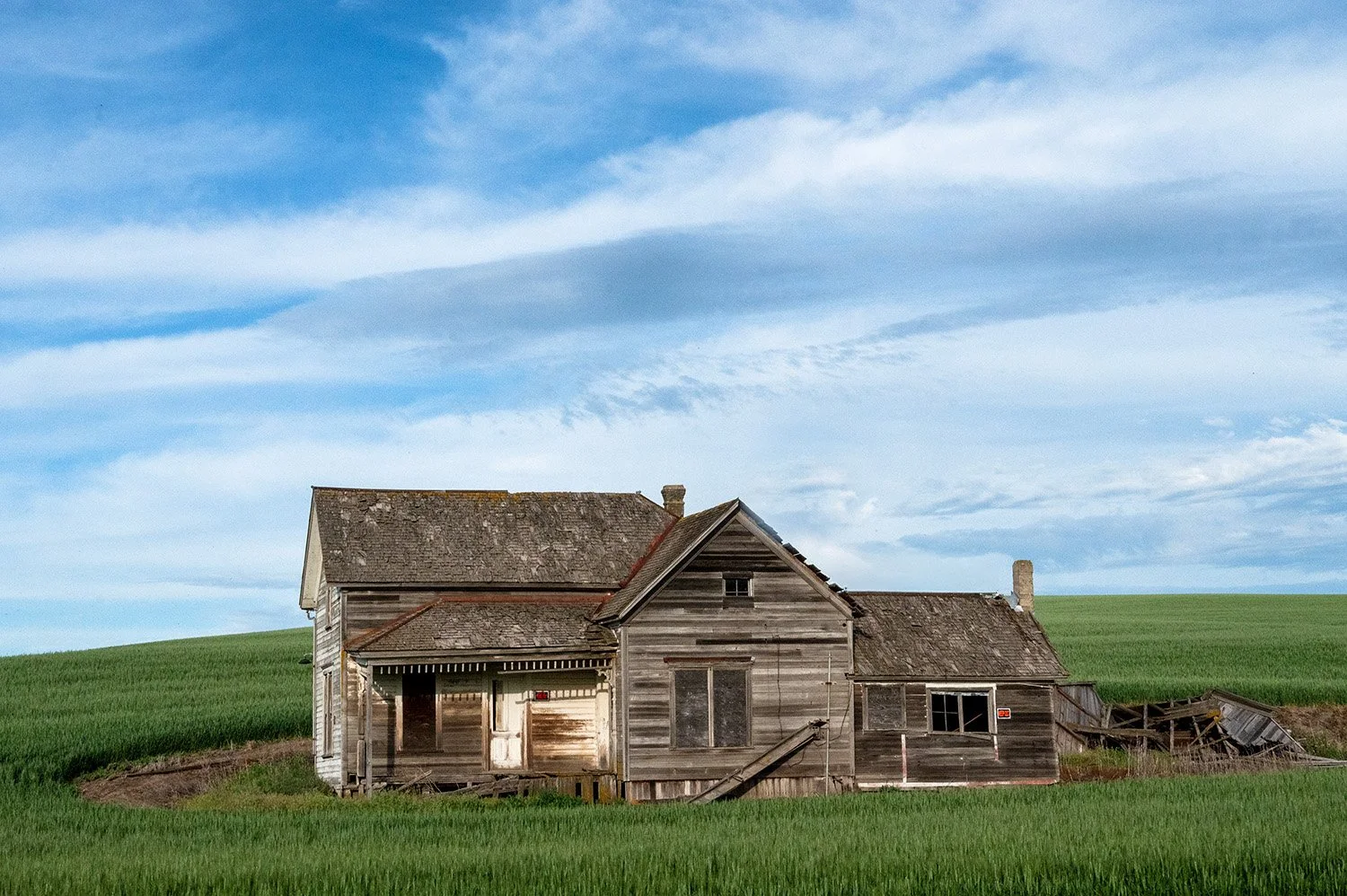 Little House OTP copy.jpg