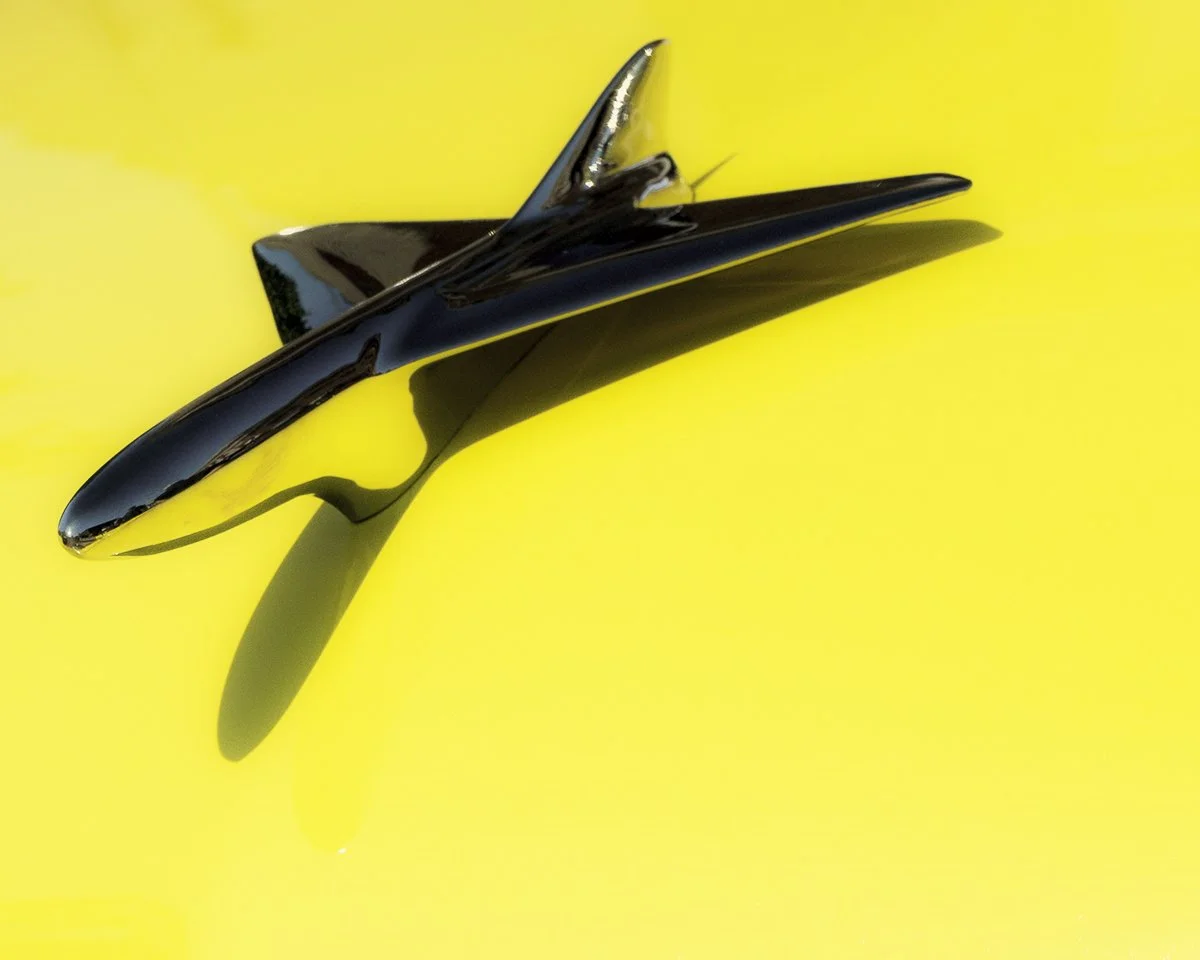 Yellow on Yellow.jpg