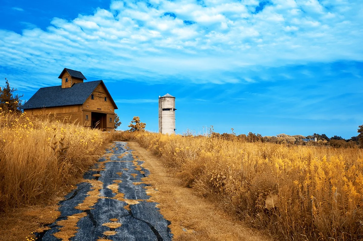 Barn Path Color Swap copy.jpg