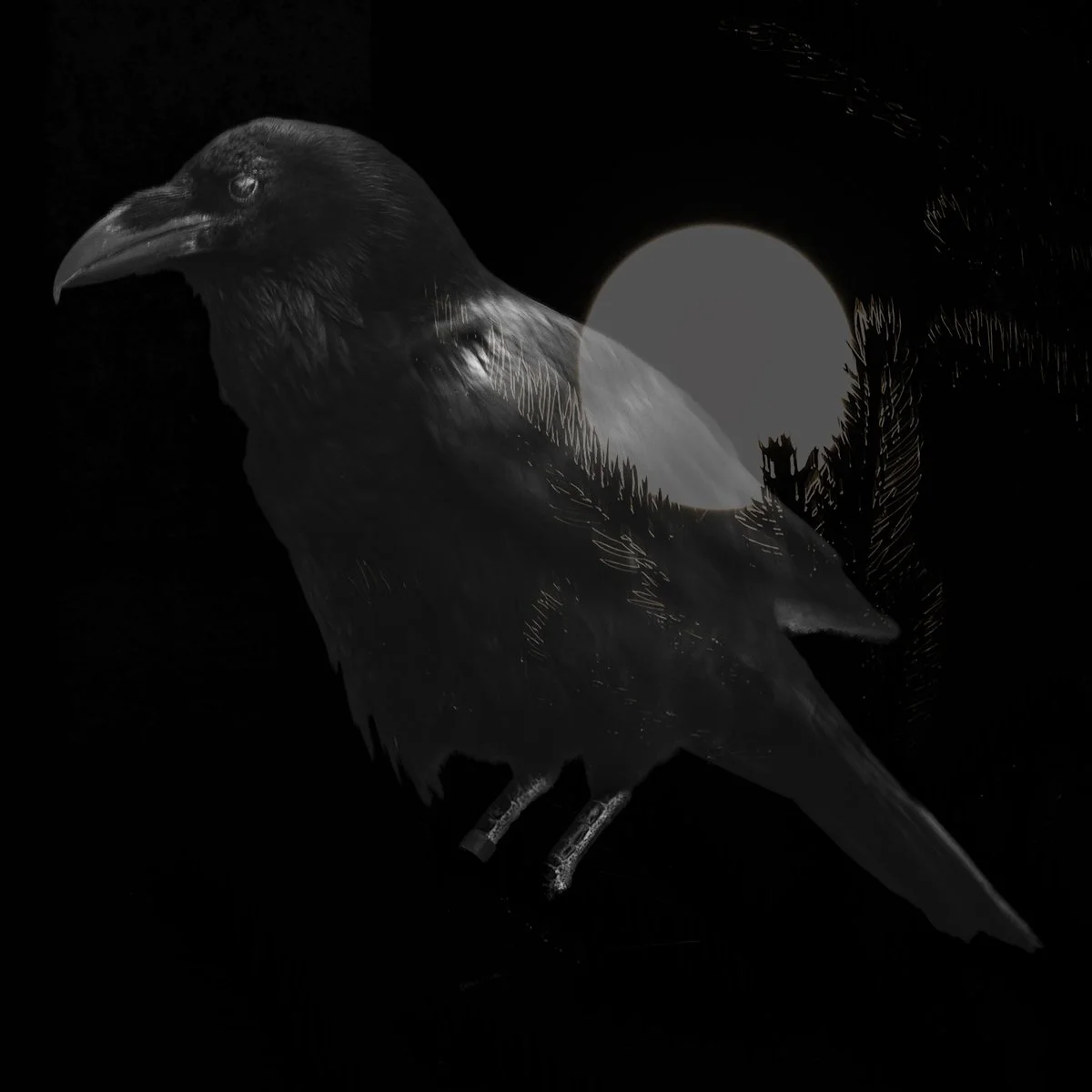 Raven Moon.jpg