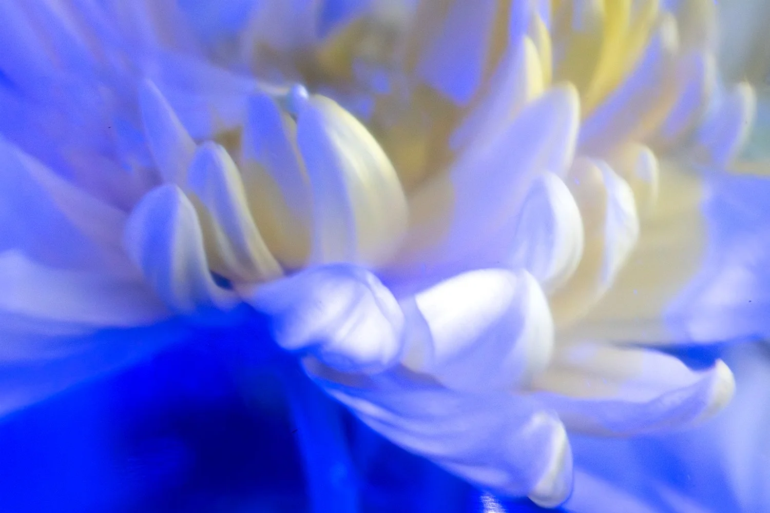 Abstract 3 copy blue.jpg