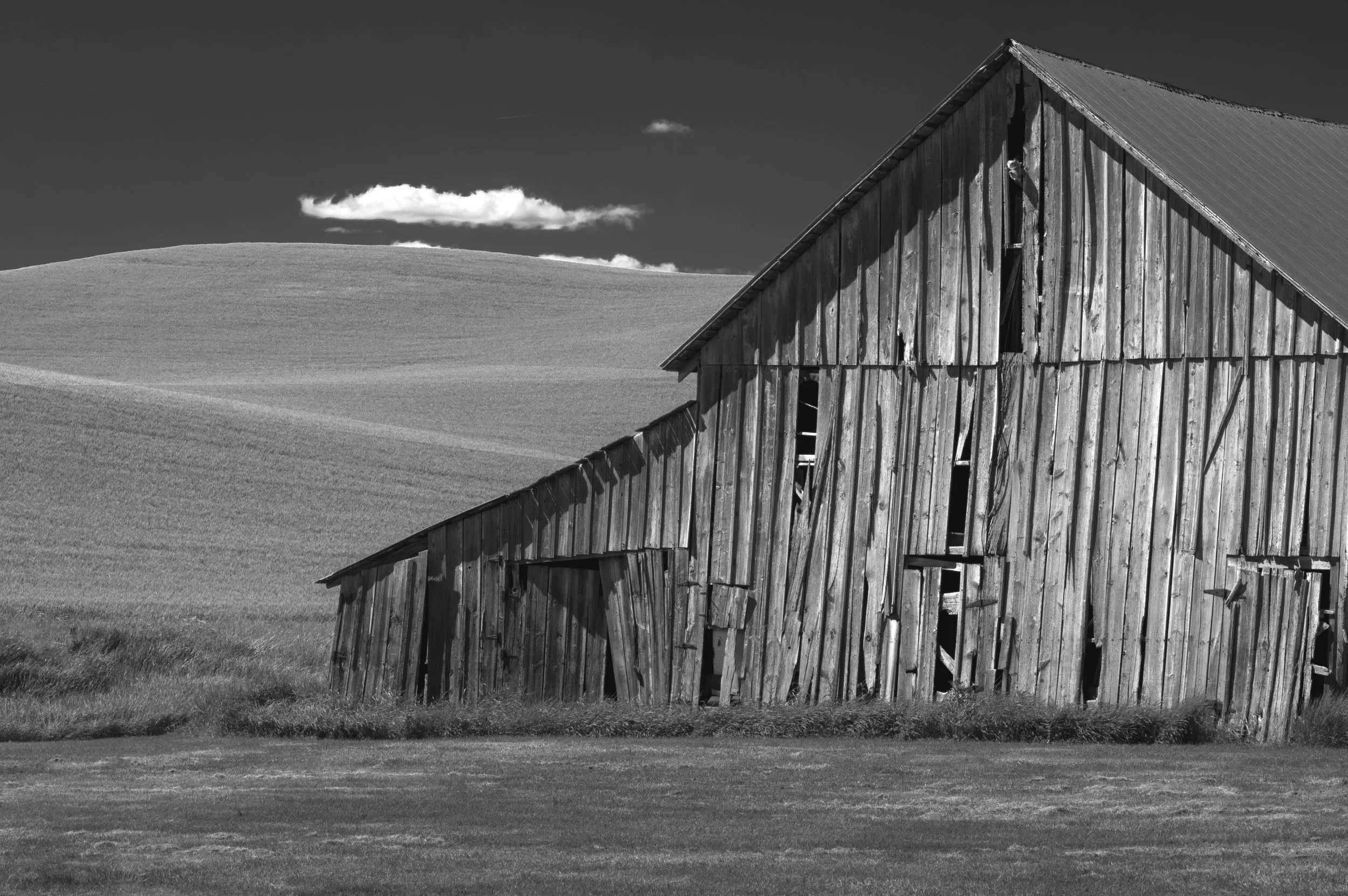 PAL+Select+J-13.jpg