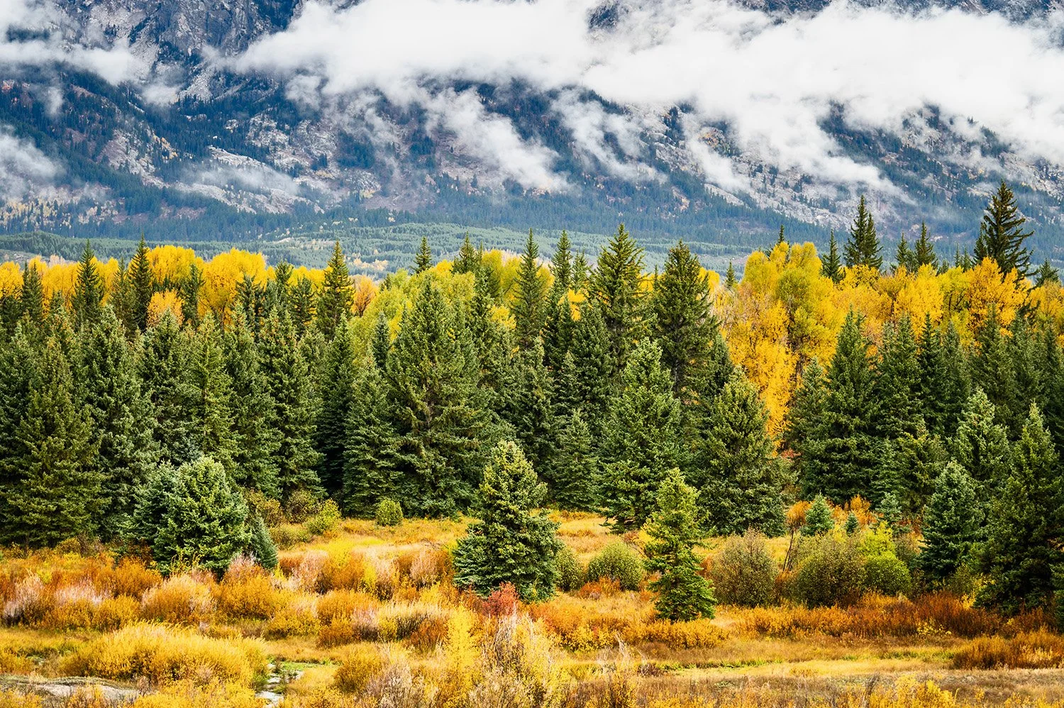 Grand Tetons Lifting Clouds.jpg
