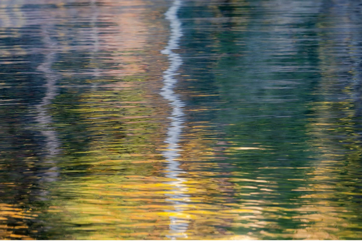 Grand Tetons  White Line copy.jpg