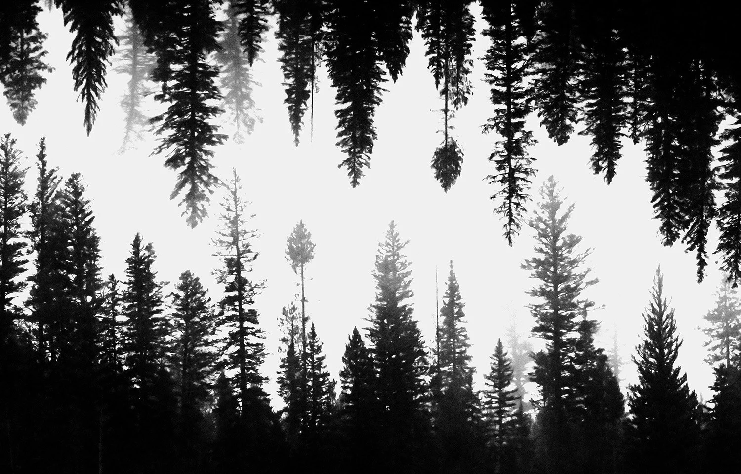Grand Tetons Select Upside Down ME.jpg