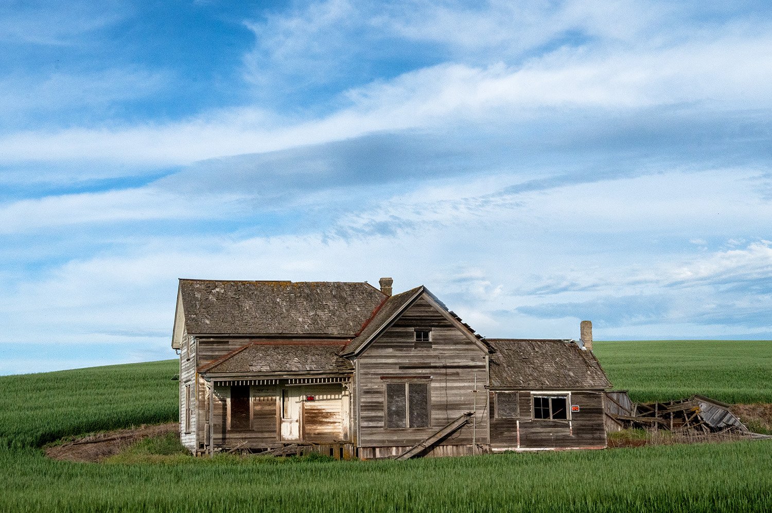 Little House OTP copy.jpg