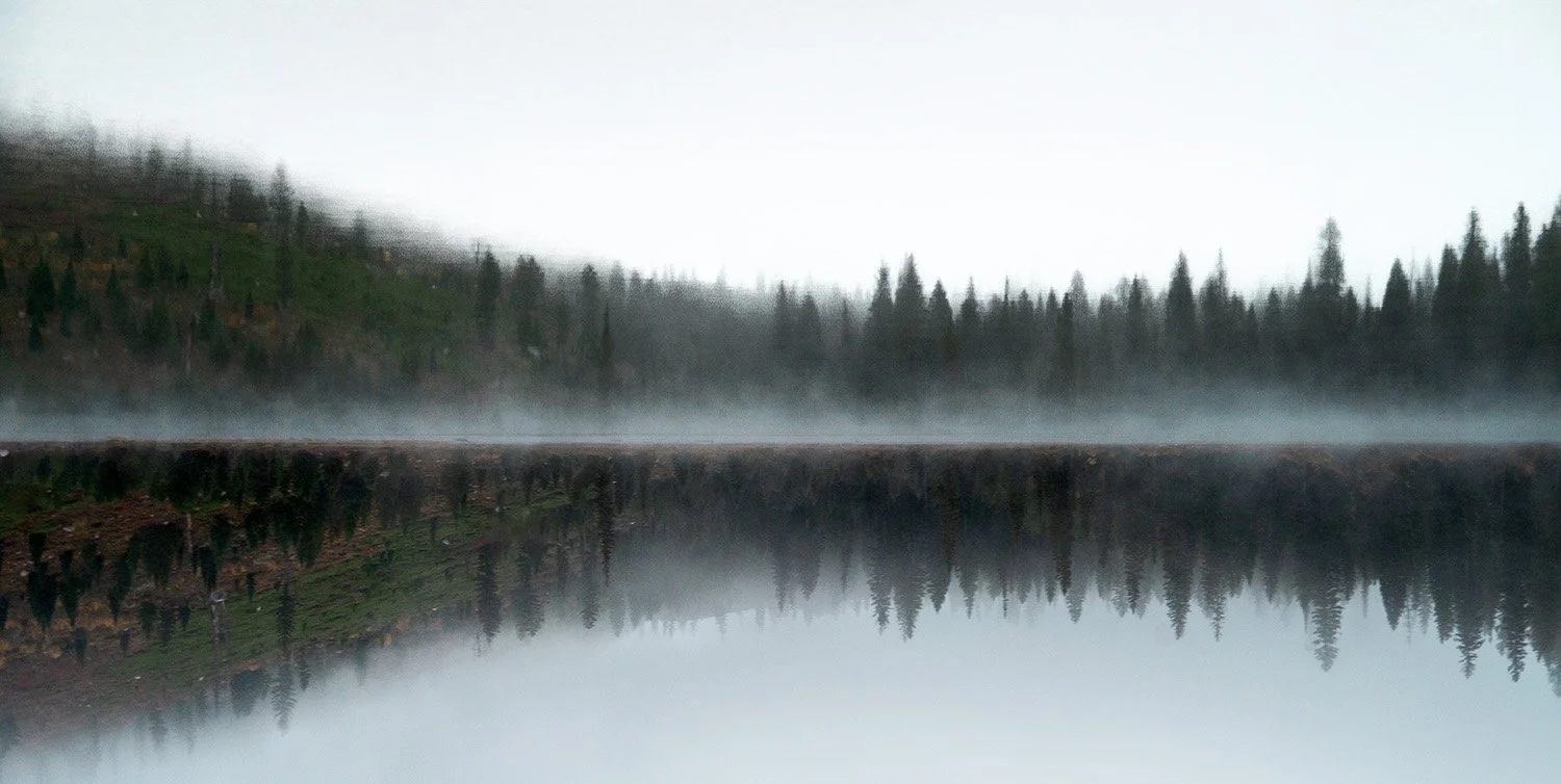 MIsty Morning Web.jpg