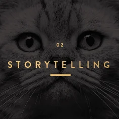 Story-2.jpg