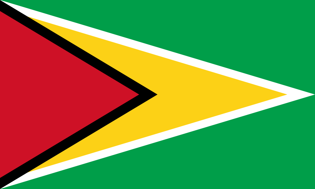 Flag_of_Guyana.png