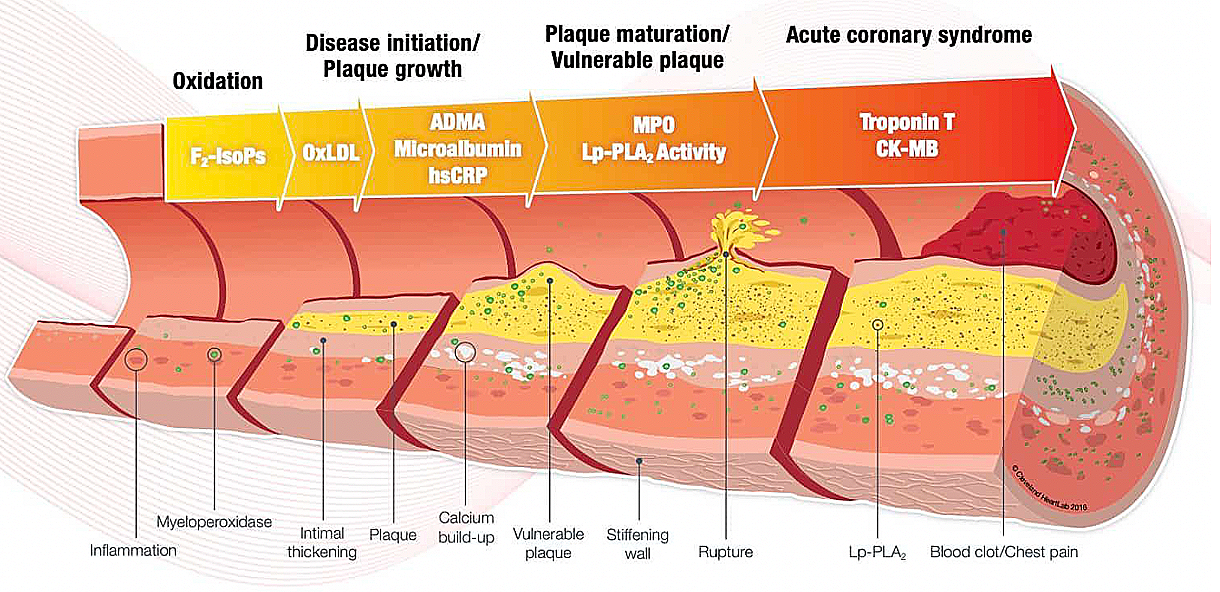 Screenshot 2026-01-11 at 19.53.40.png