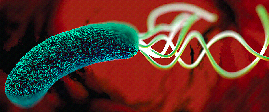 Screenshot 2026-03-27 at 17.42.00.png