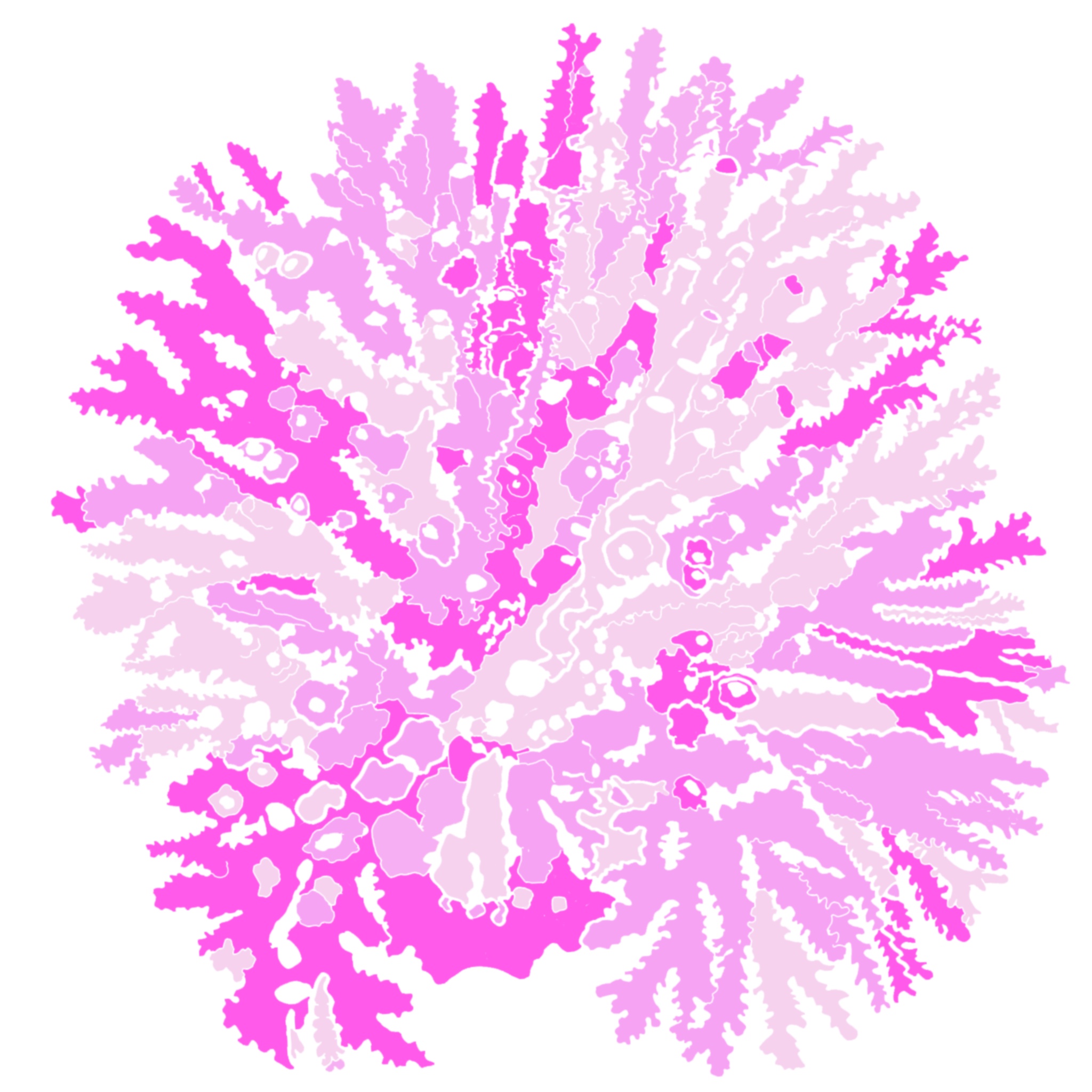 Pink Coral 2018