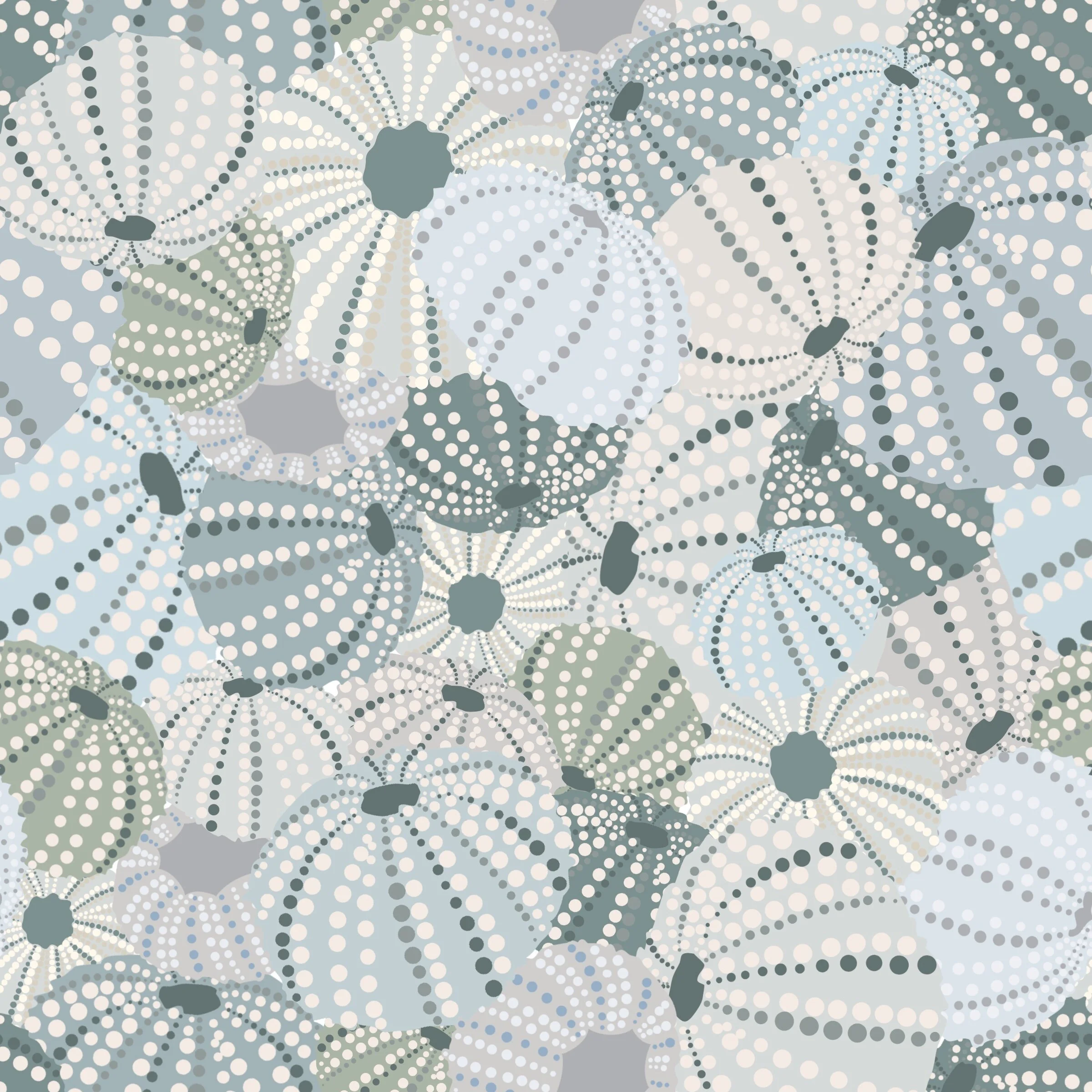Sea Urchin Shells 2019